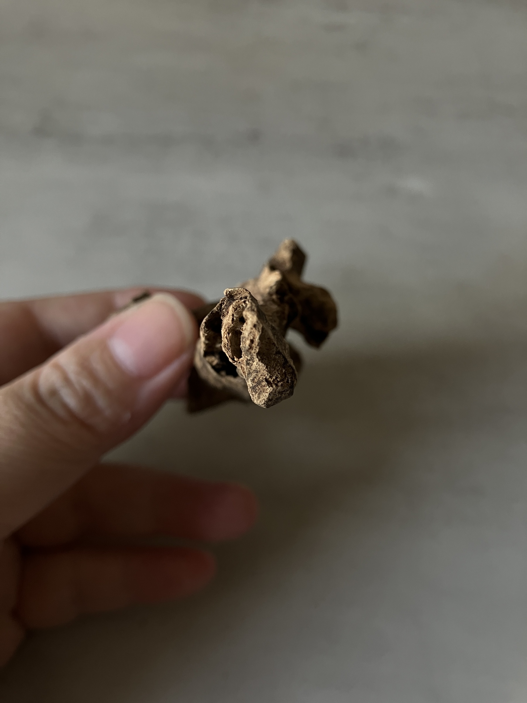 image_49BD4BBE-D87C-4FE1-8F15-3E431391E652_1760512980