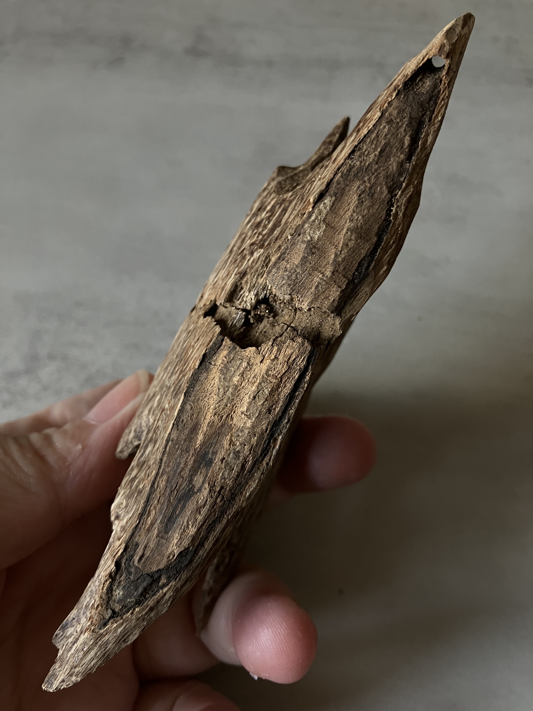 image_0AA38B03-638E-4426-9942-87D590735BB9_1760513060