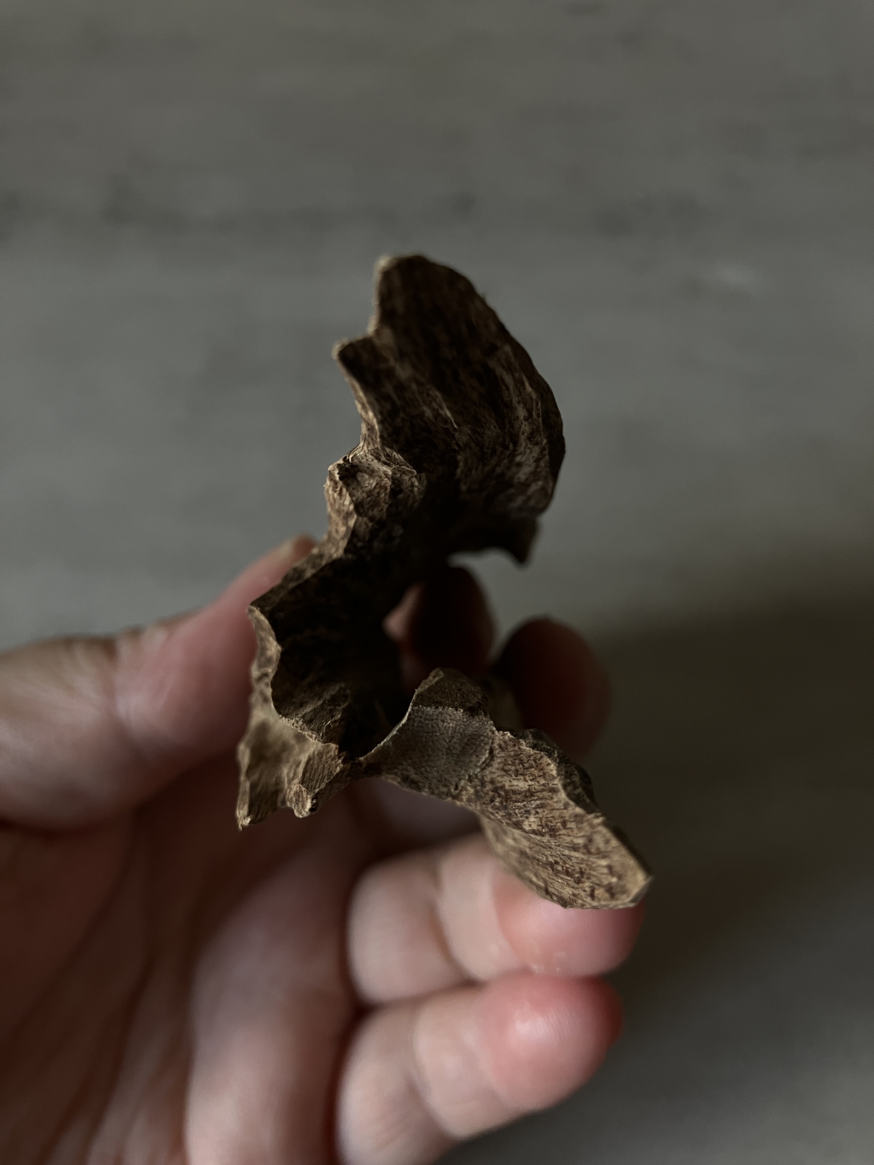 image_67ADD081-E6D0-4003-8DEB-08A670558F40_1760513060