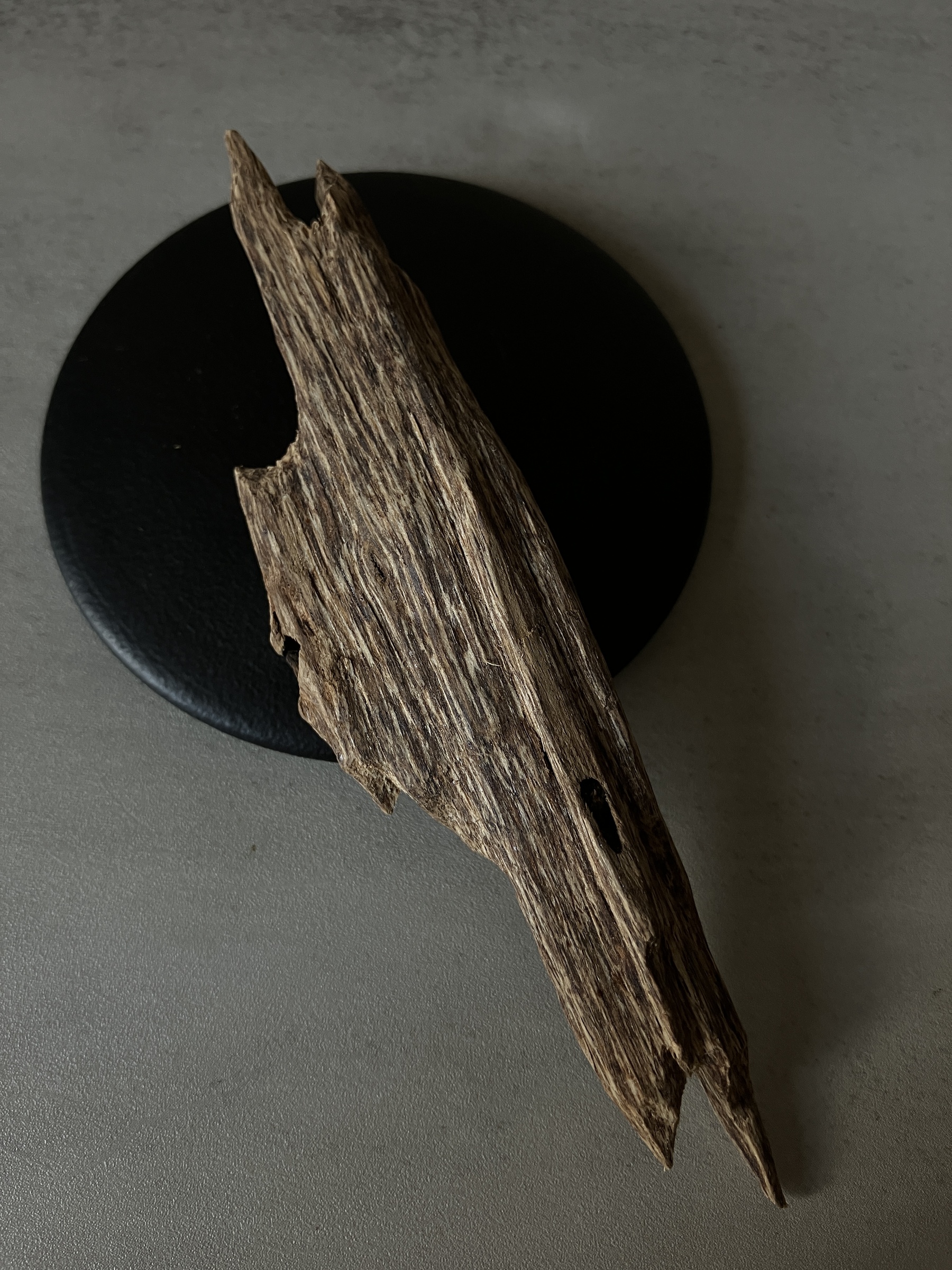 image_5A2FED2C-AABA-415A-9625-7D32BE9E93D9_1760513181