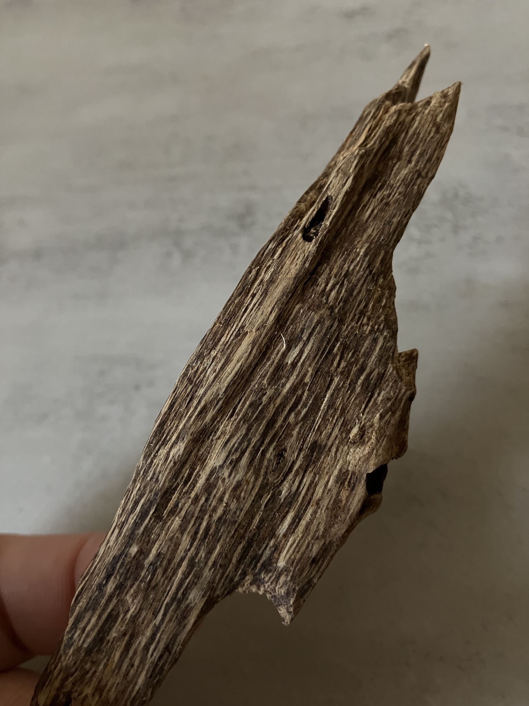 image_FDD23759-7323-482C-8A5C-700EAB6917FD_1760513181