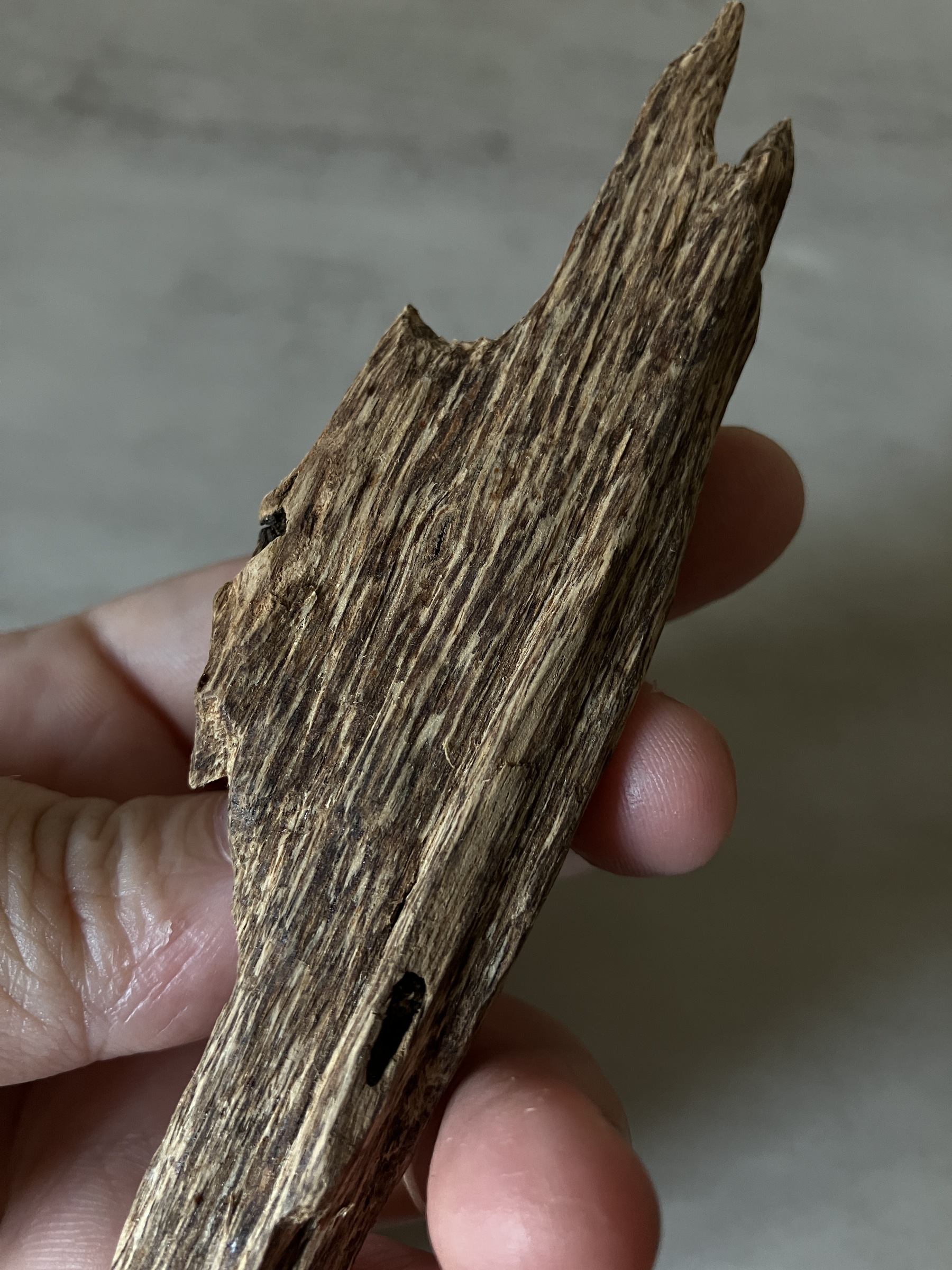 image_D778C292-C4E8-4AF8-8E2B-FF74F0D5F69C_1760513181