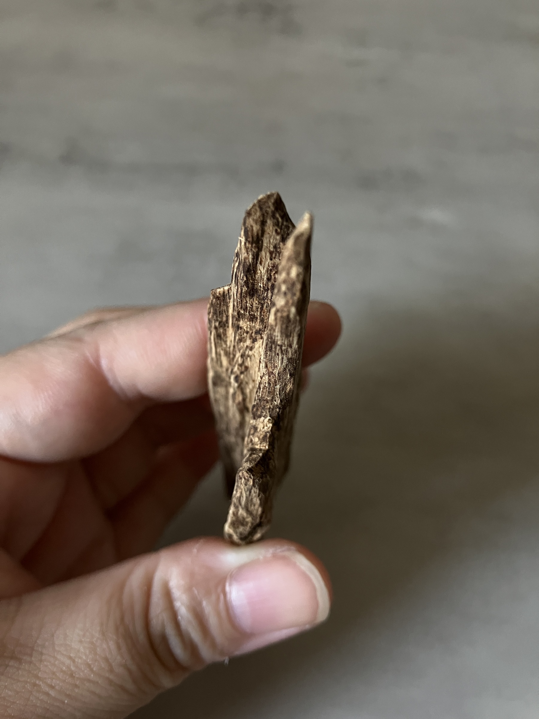 image_4A6EE0FE-90F0-44C4-BEDE-8CB31B5293D3_1760513181