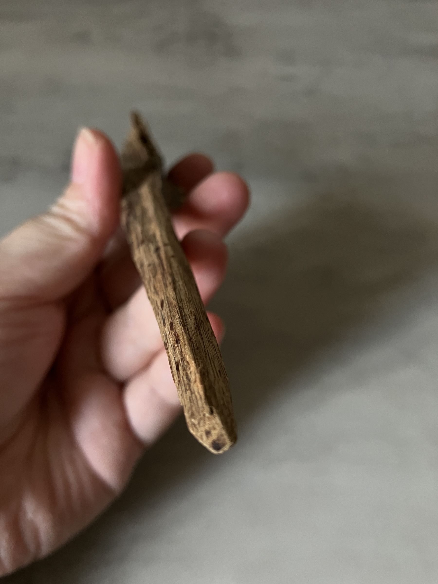 image_973FCBBB-4656-4F39-92DD-85EAC58AB804_1760513400