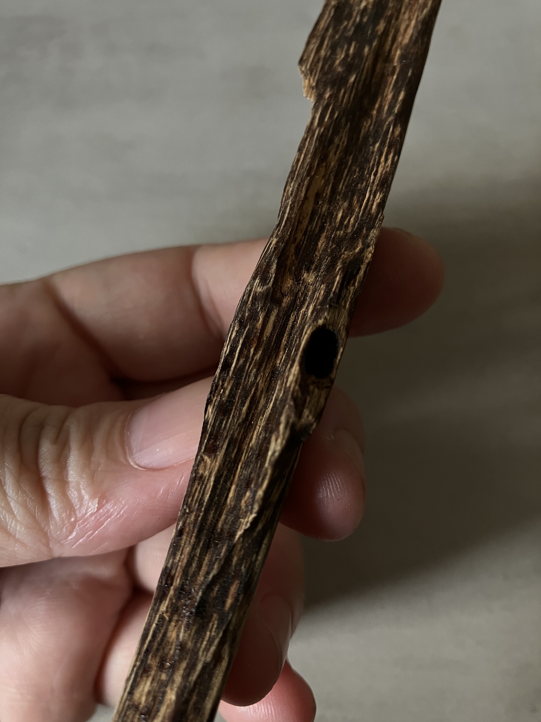 image_BEC73C89-A70A-47EF-BA5A-01F292EFEA0D_1760513400