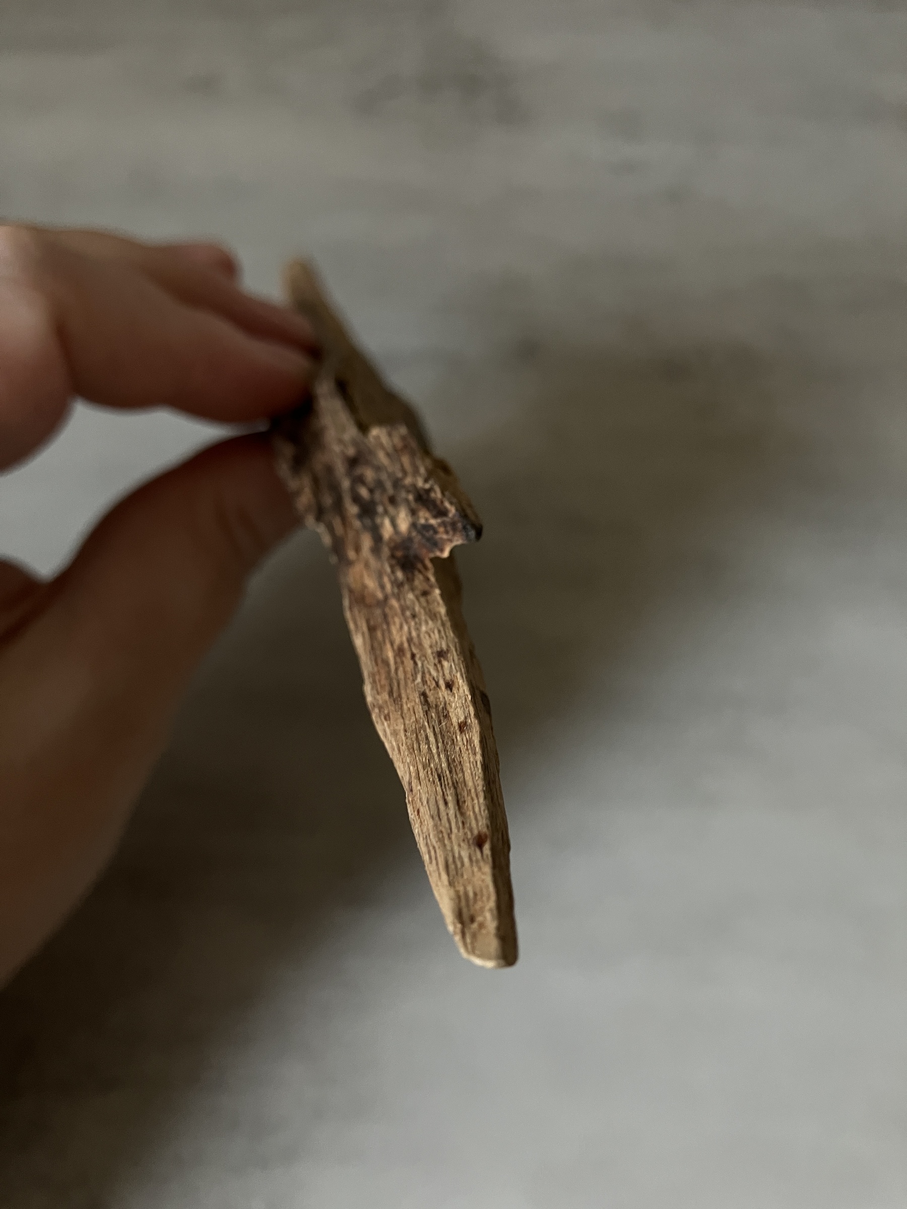 image_20513C46-3EC2-4AE2-80B0-3F40F91B5AAB_1760513400