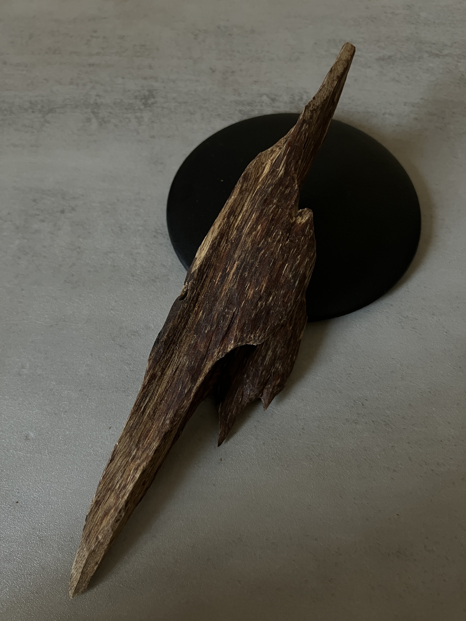 image_D1B940E9-9455-40C1-8146-6AF6F3A6EDD2_1760513508