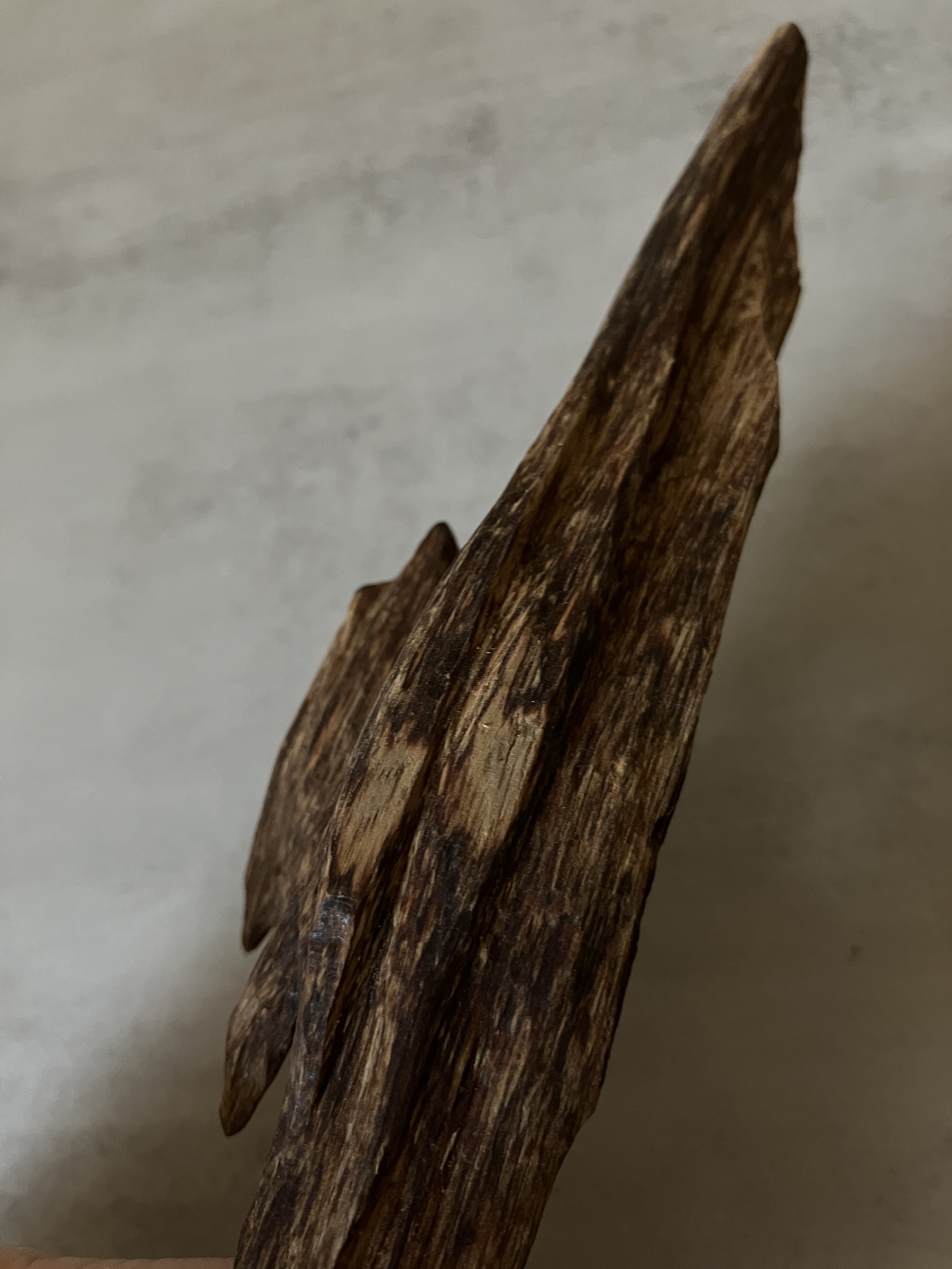 image_D6D500D6-DC67-43FC-8887-D5DCE8405BB1_1760513508