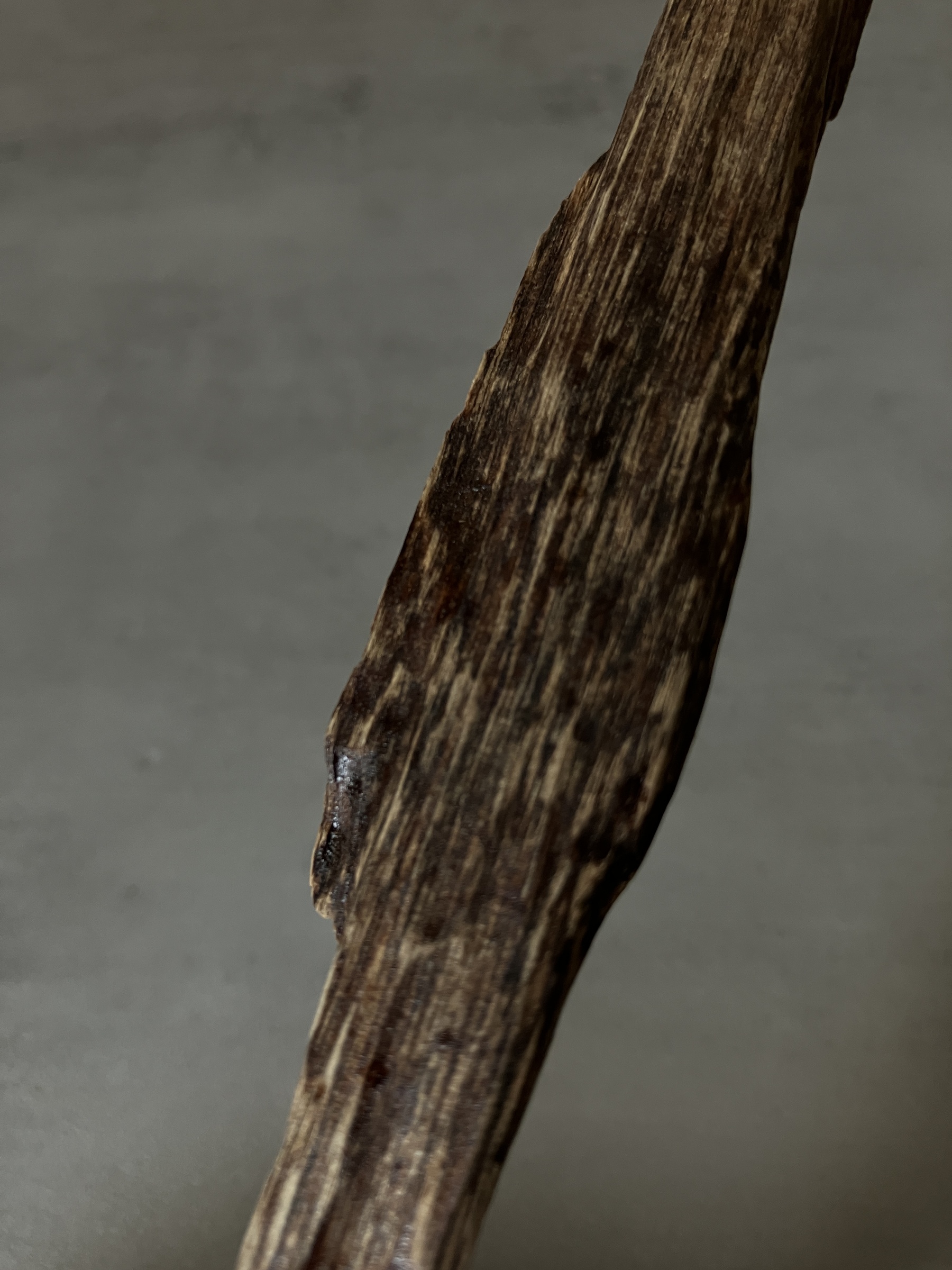 image_34D1F106-E05D-4B06-943D-9EDDD626C606_1760513508