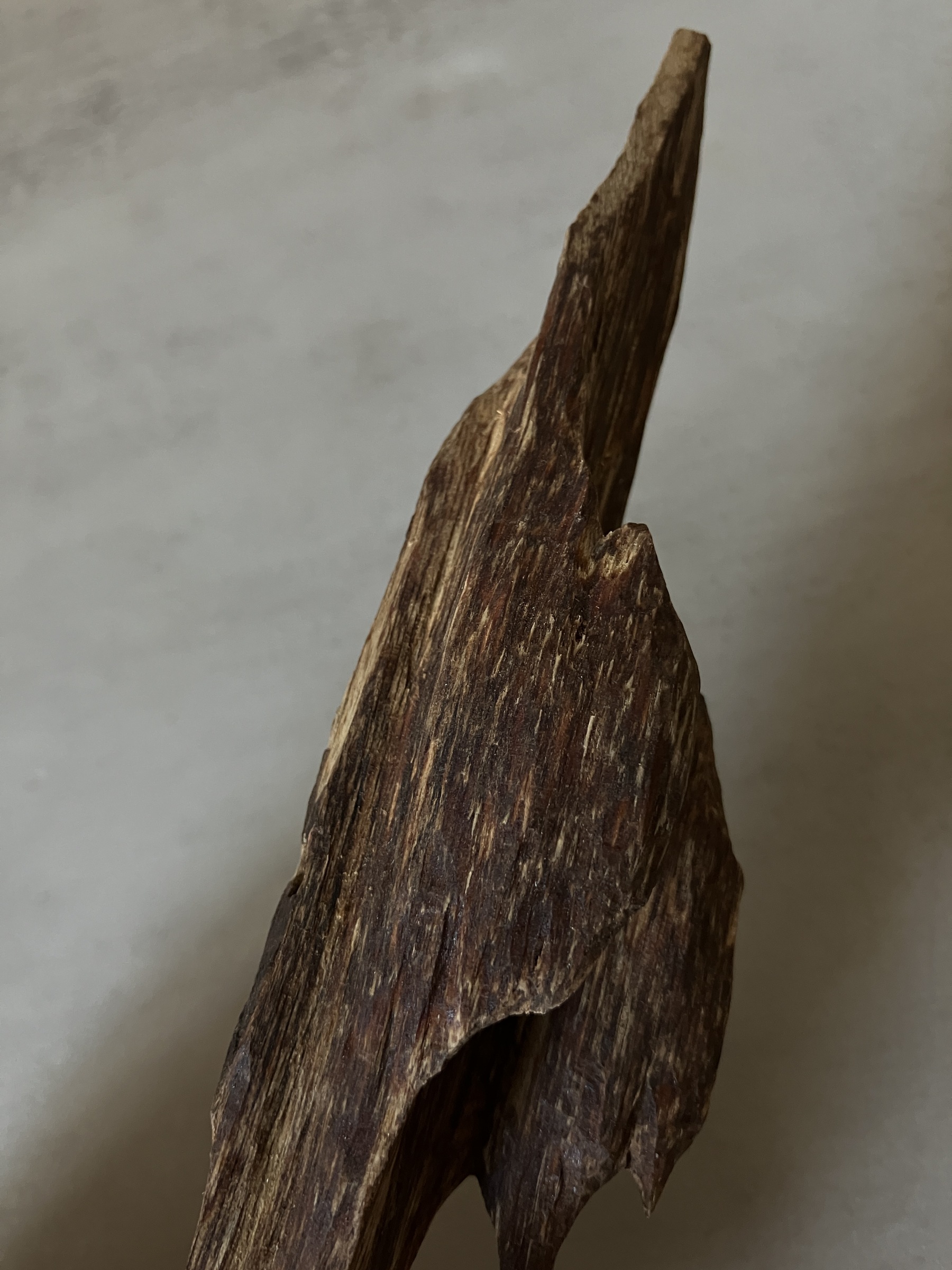 image_CF9AB3EE-295A-4907-A482-D10DA261D5AD_1760513508