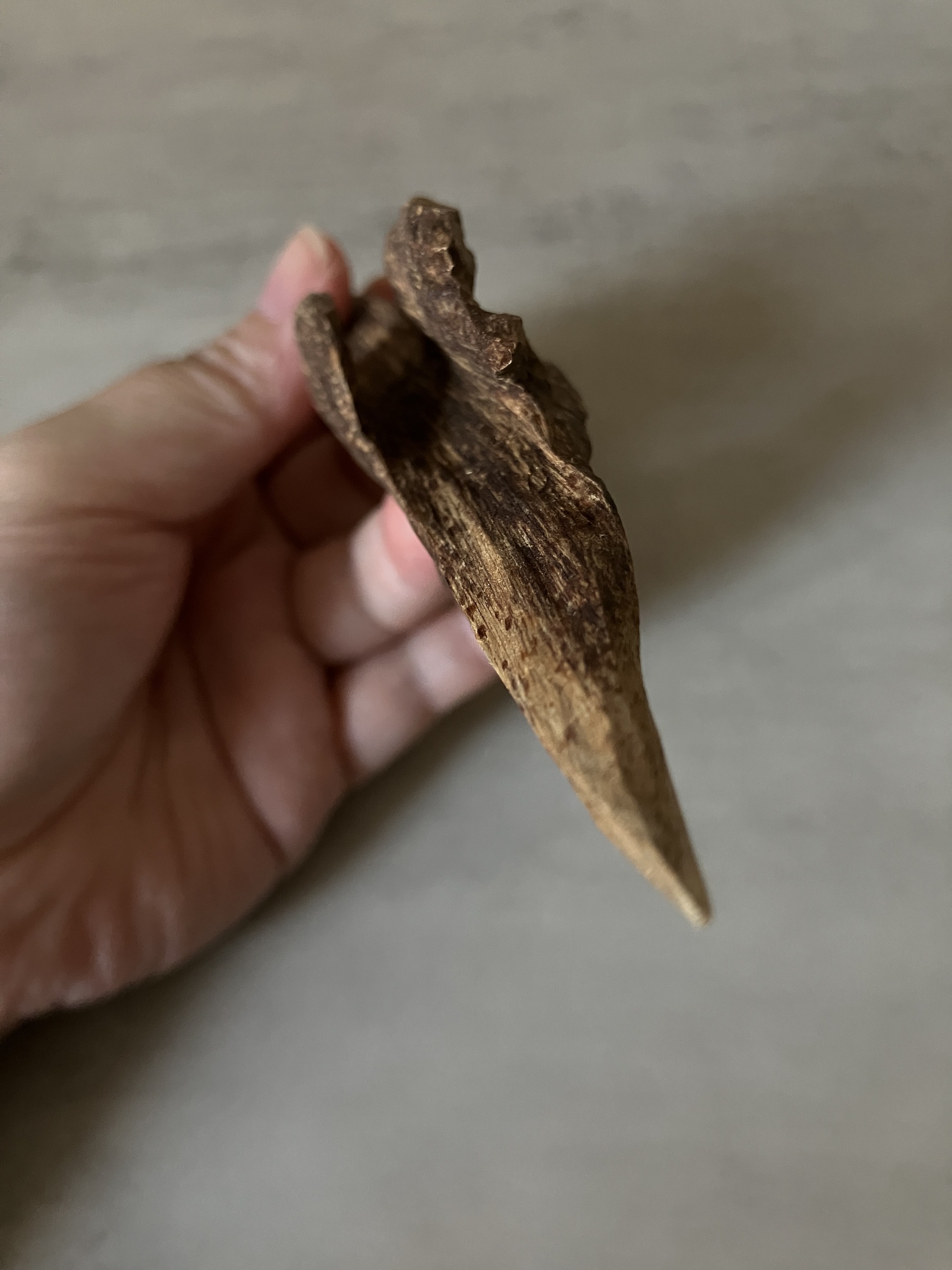 image_9B777B2D-705B-4222-B9ED-319E3368FA54_1760513508