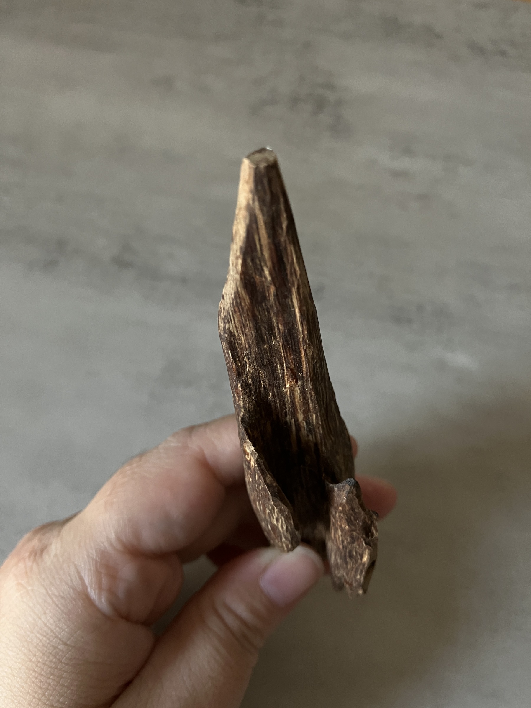 image_515DE8E1-EC27-41F5-86CE-6E6E23AACB64_1760513508