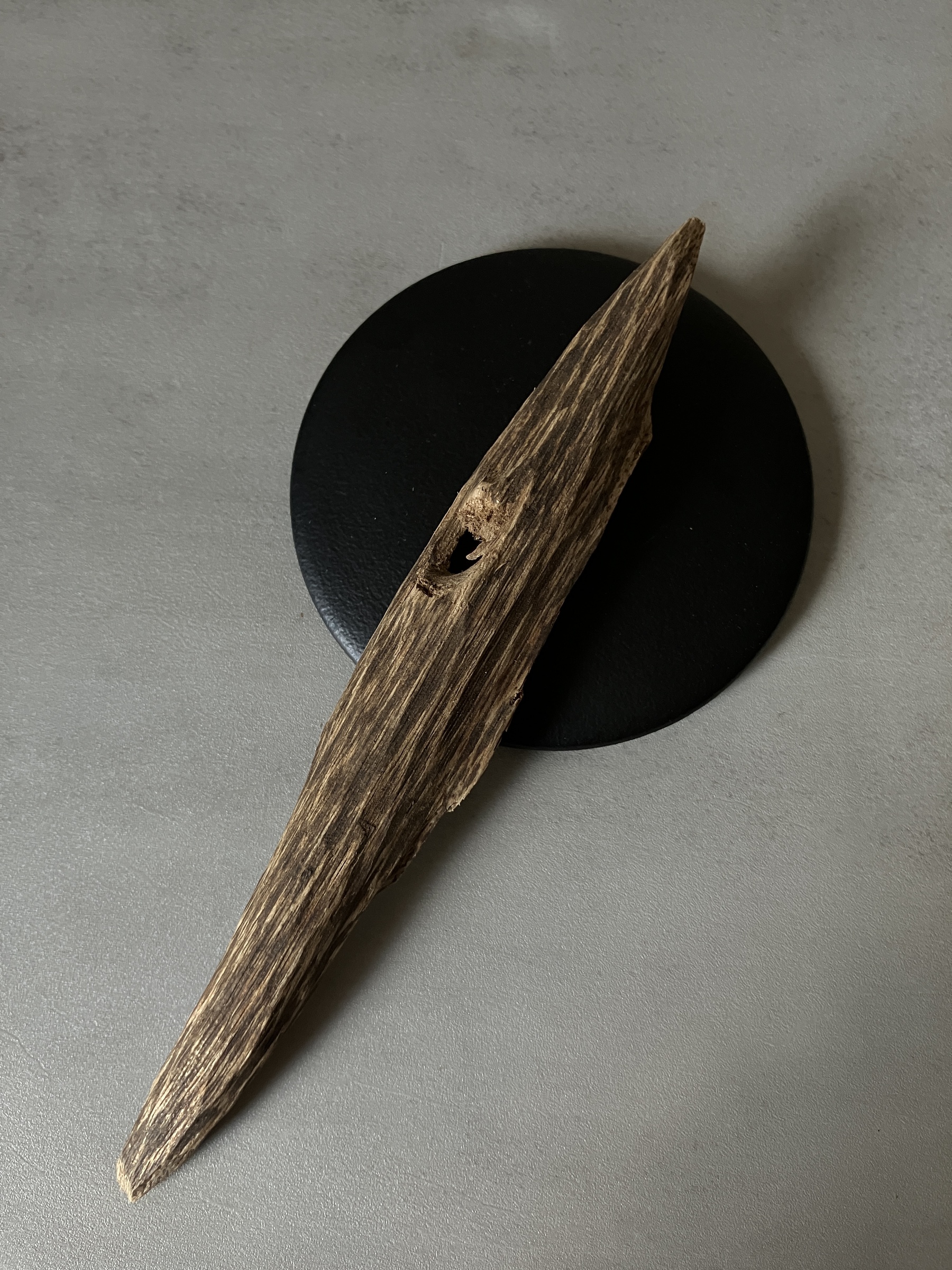 image_8EBC68D2-78A1-4882-9ACC-4711BC7F9722_1760513615