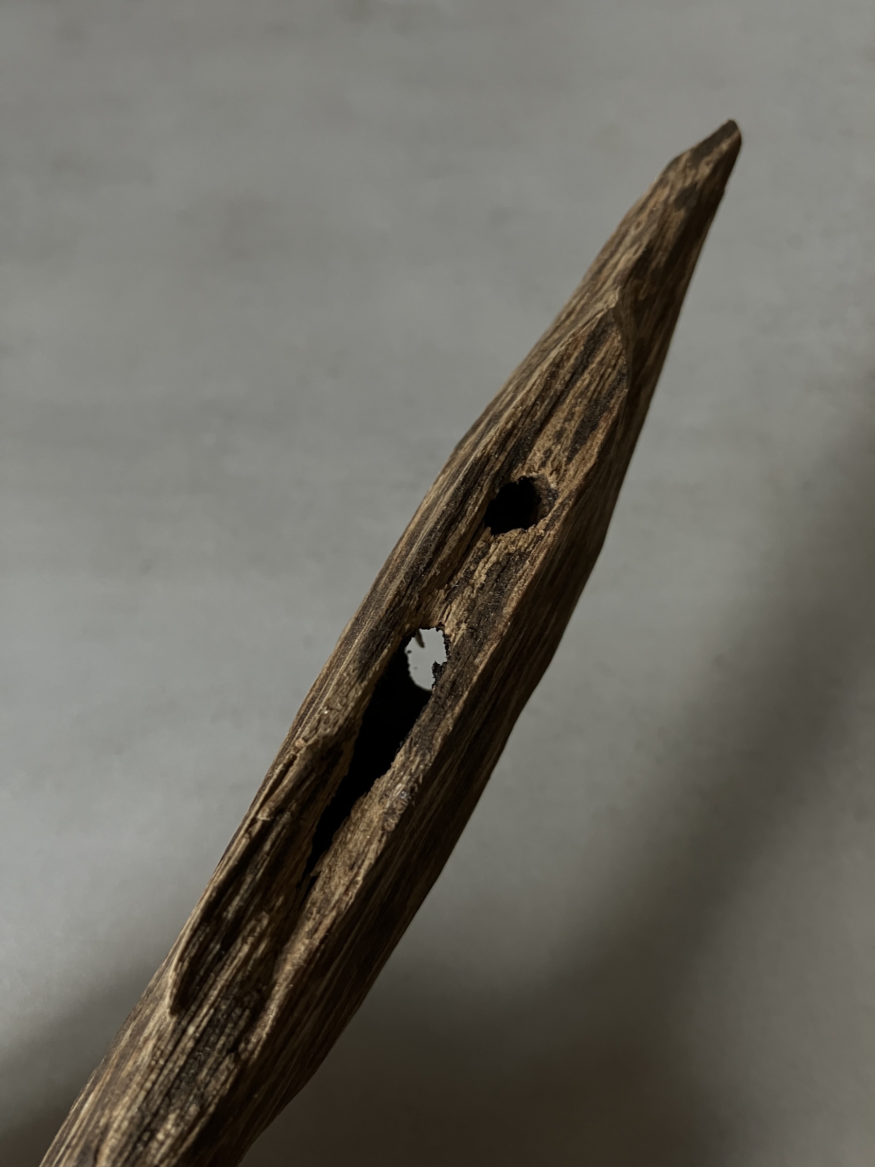 image_B50A6B1B-C352-4B02-9B78-8BBEB4417017_1760513615