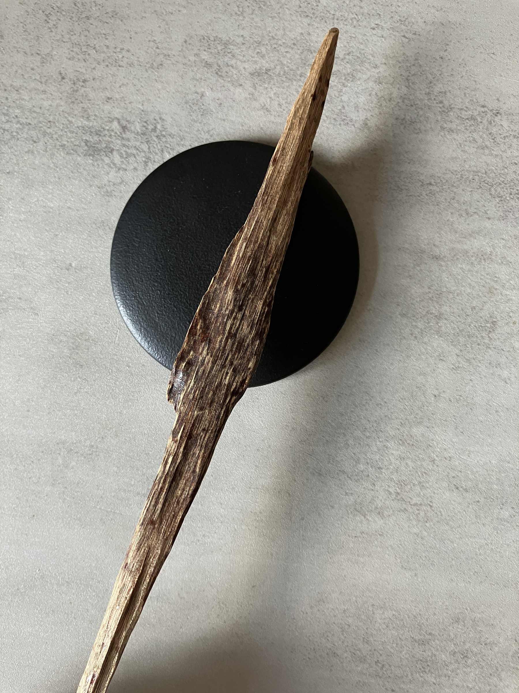 image_343C9FC0-6745-4D53-B7B8-91646AC5231D_1760513615