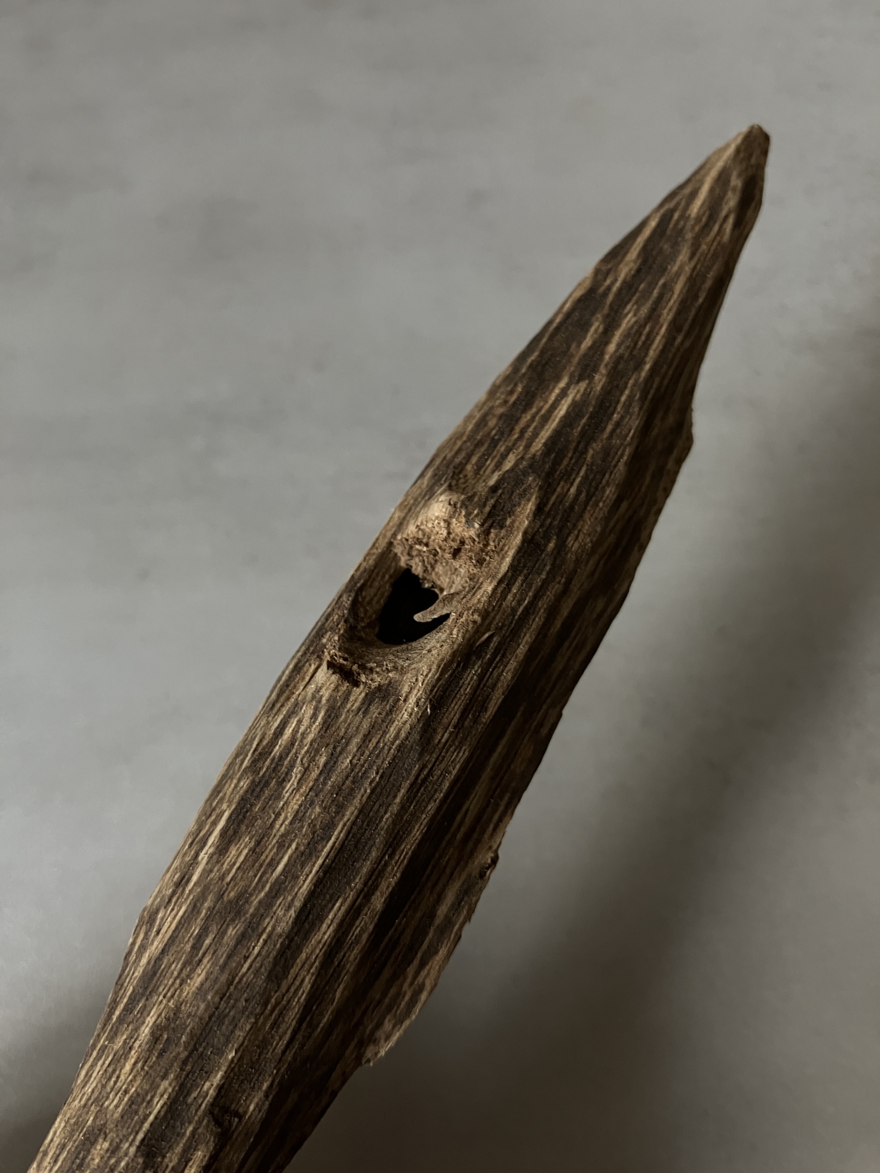 image_4F39C745-C754-49F5-87D9-400DABFAA006_1760513615