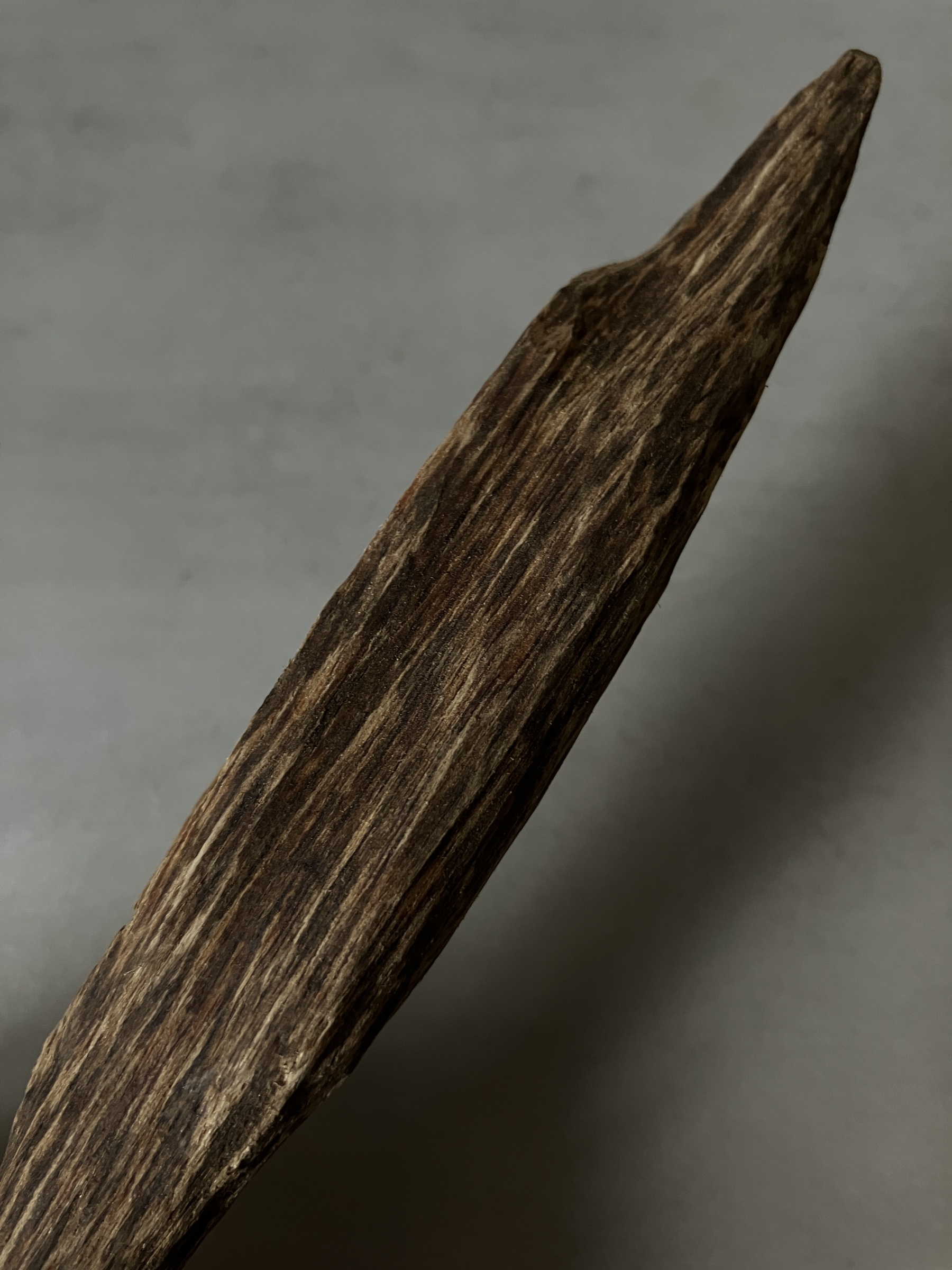 image_56012923-EBFC-4939-B35C-49D2C859D2B1_1760513615