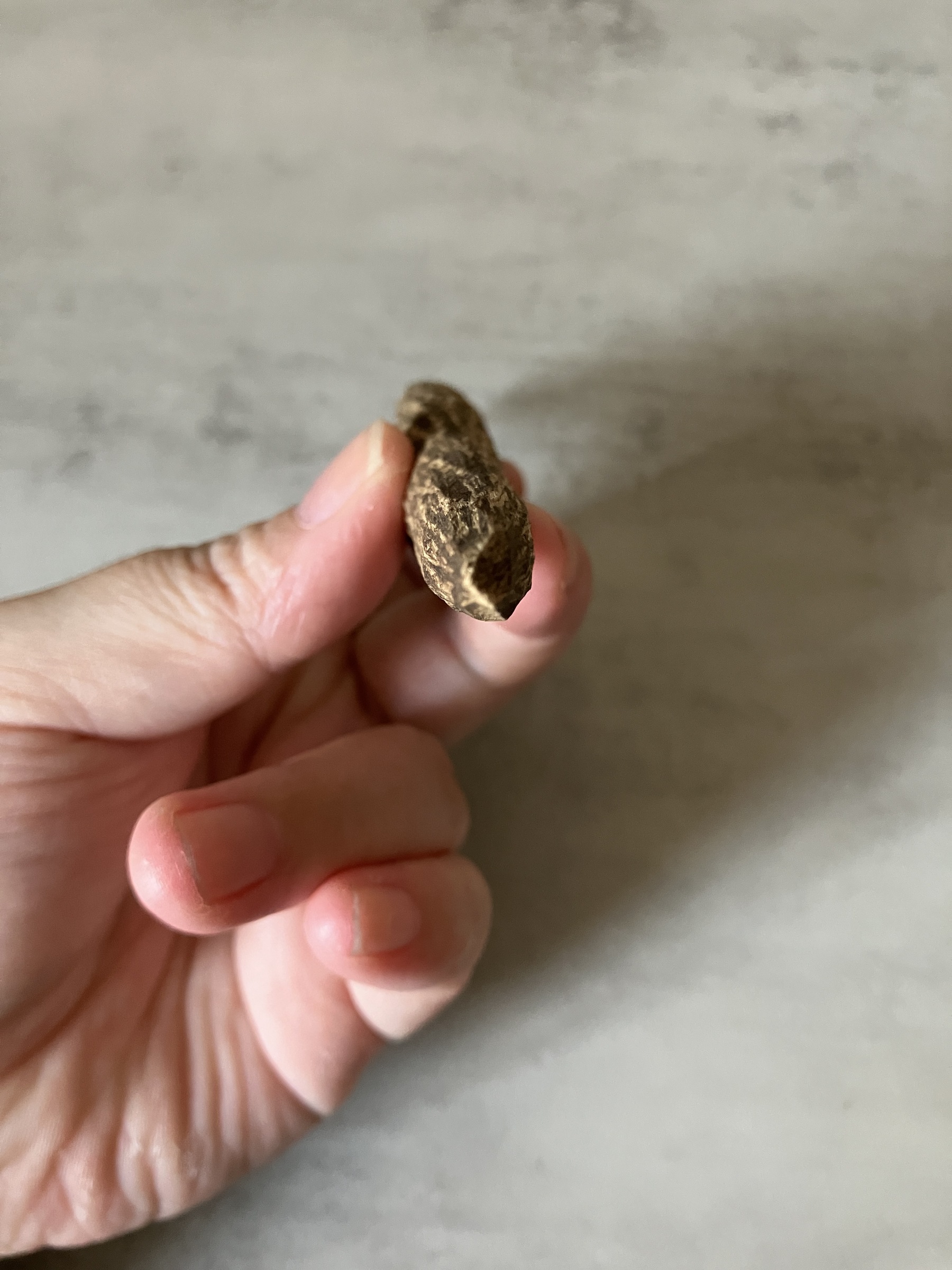 image_C670FF7B-8F9E-4570-8B23-EB3AC9A9E890_1760513615