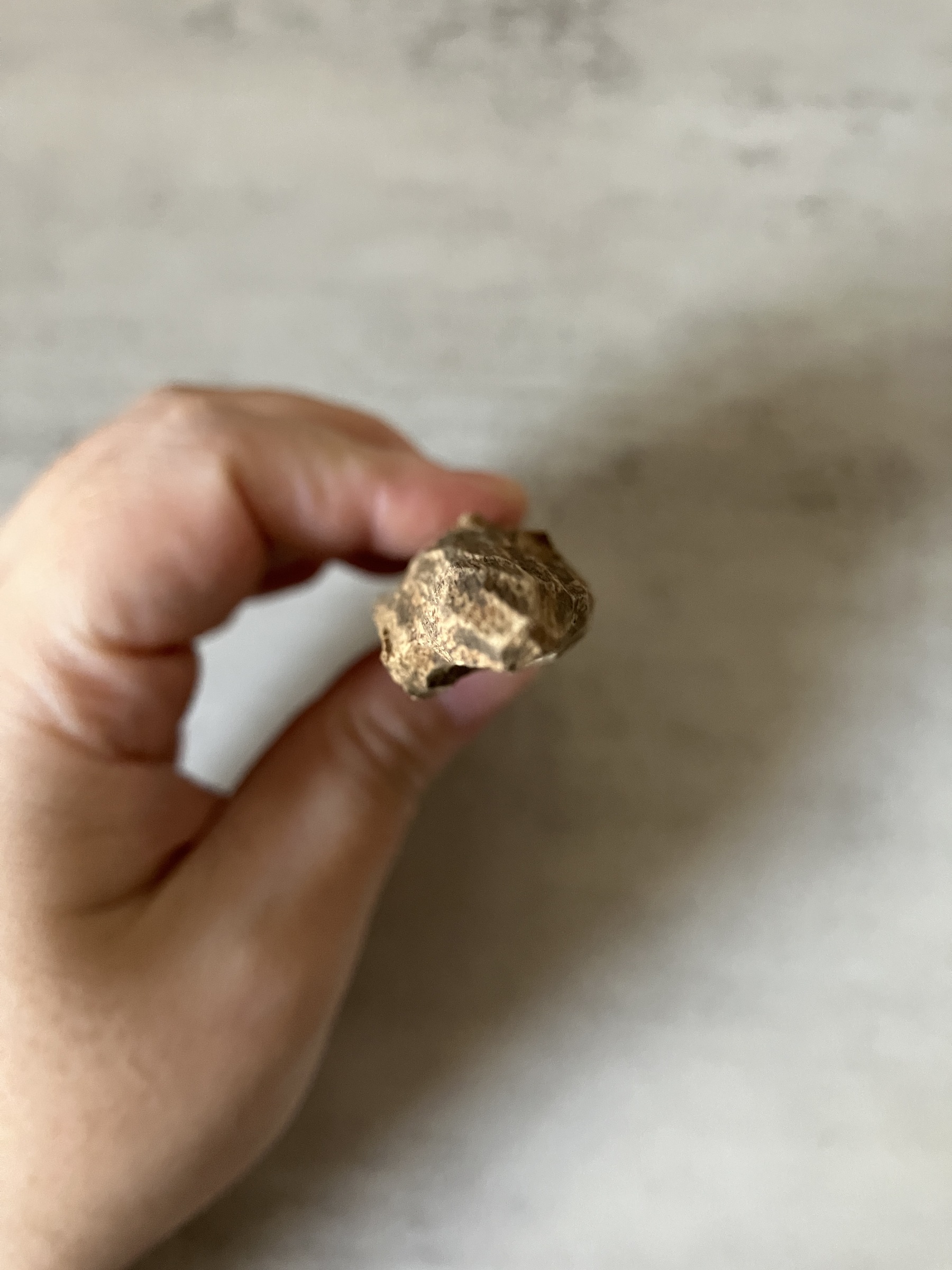 image_093B6B2E-6907-4077-956F-6F58FA757D32_1760513615