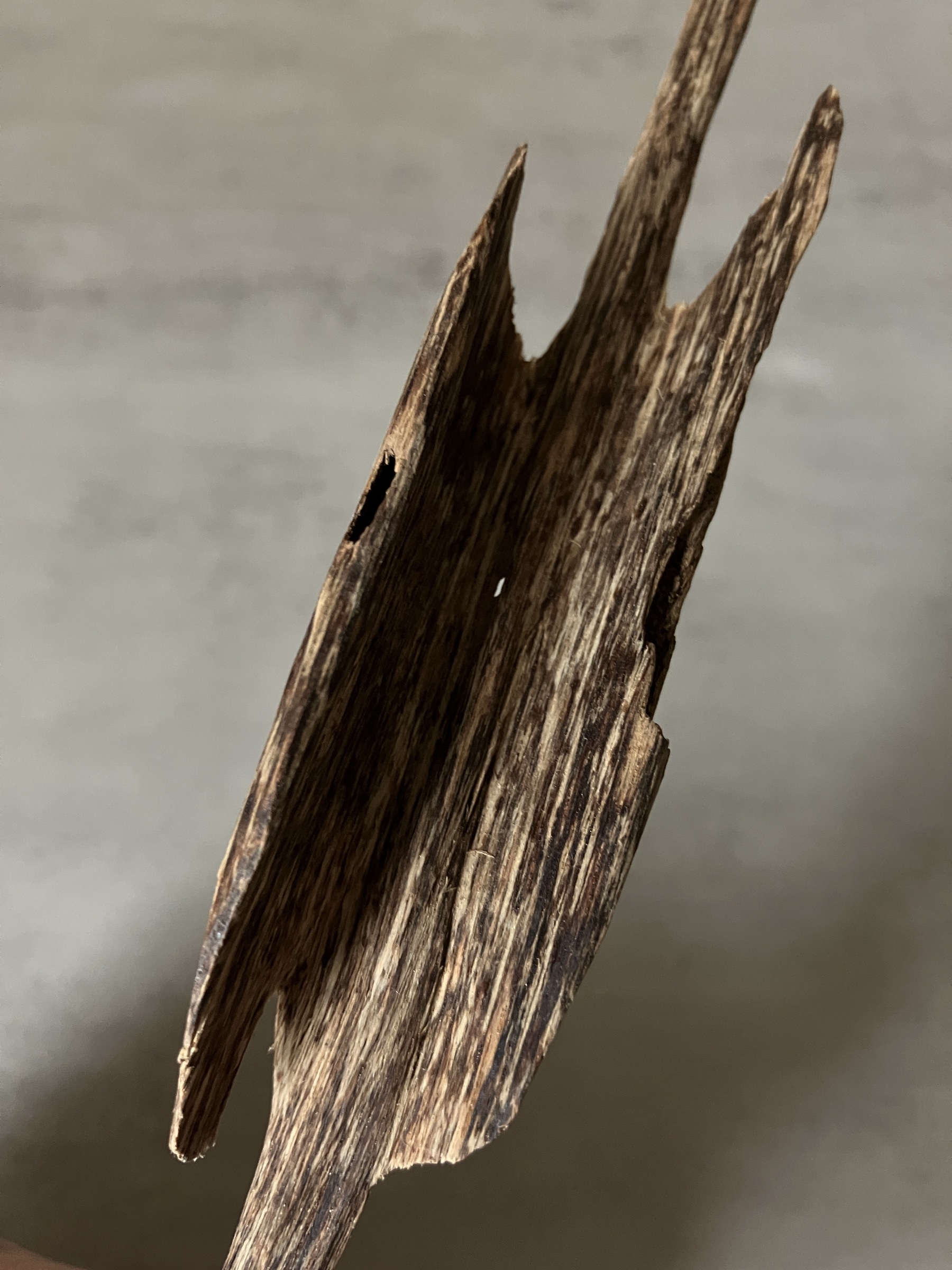 image_9068C717-19A9-4C40-9F1D-557E18D006E5_1760946298