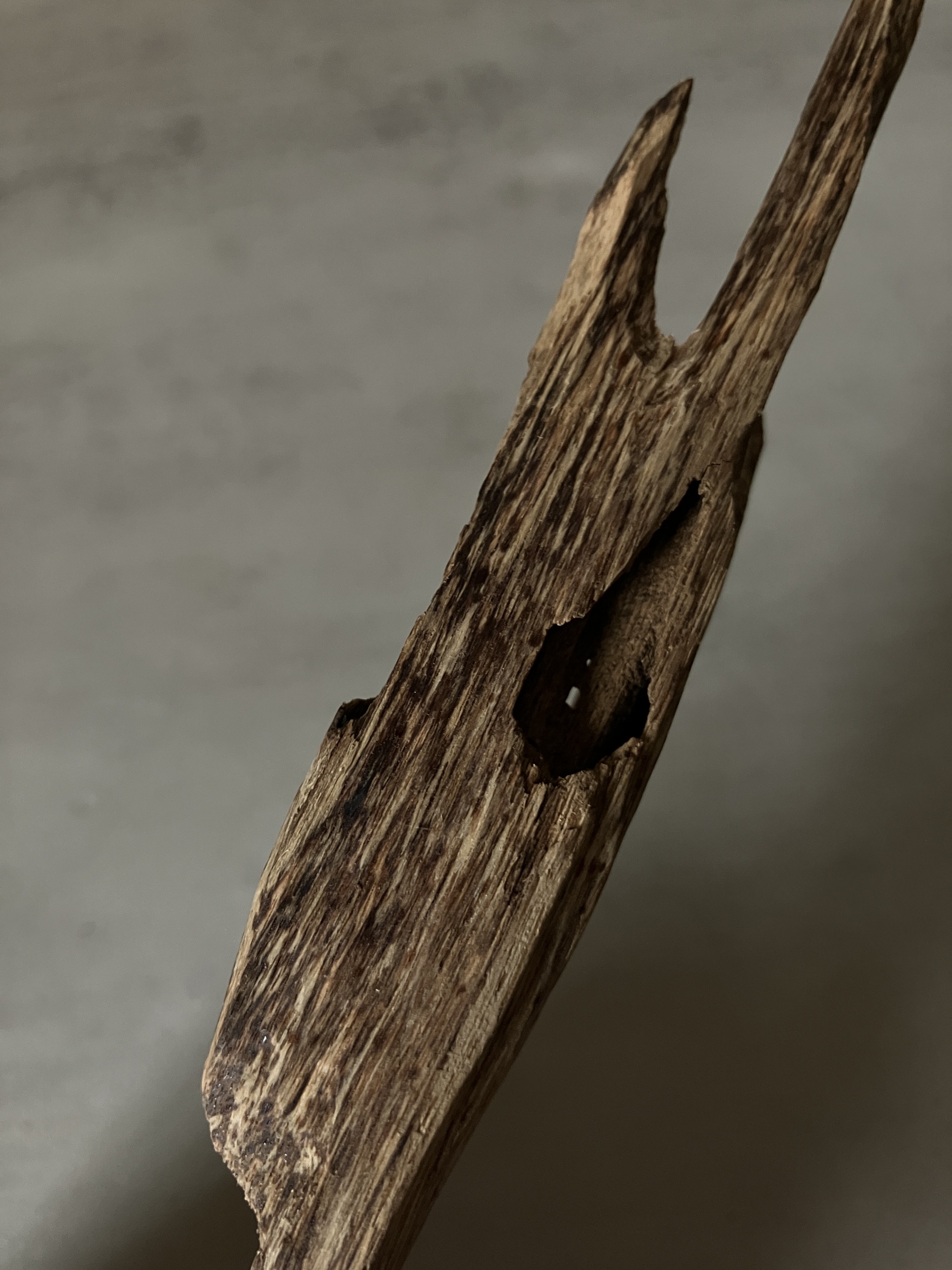 image_C4F1C4B4-2663-4231-AE72-A5FAF2A71342_1760946298