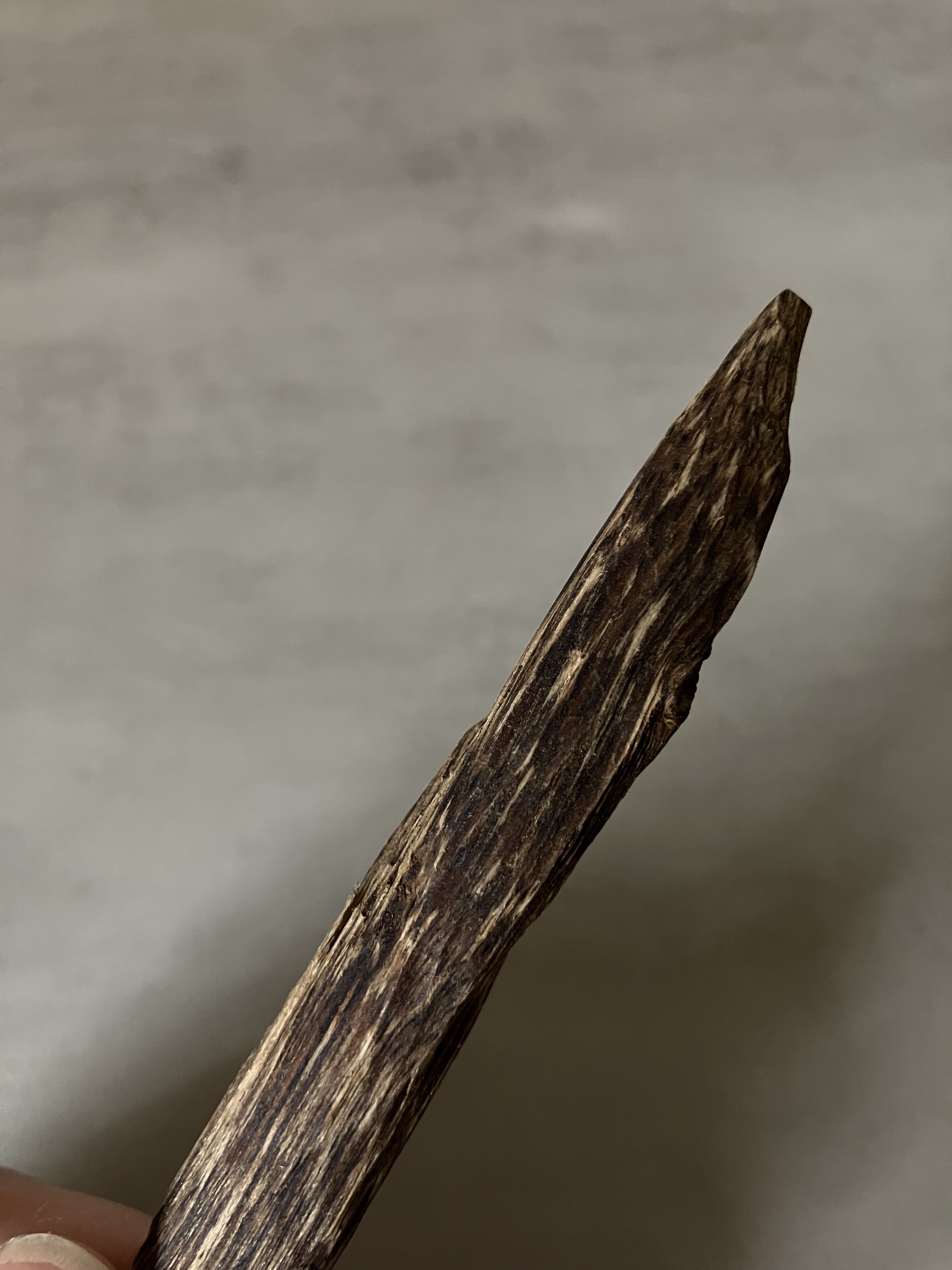 image_2DFB5444-CBAC-4E0D-B14A-E654C952B2A6_1760946351