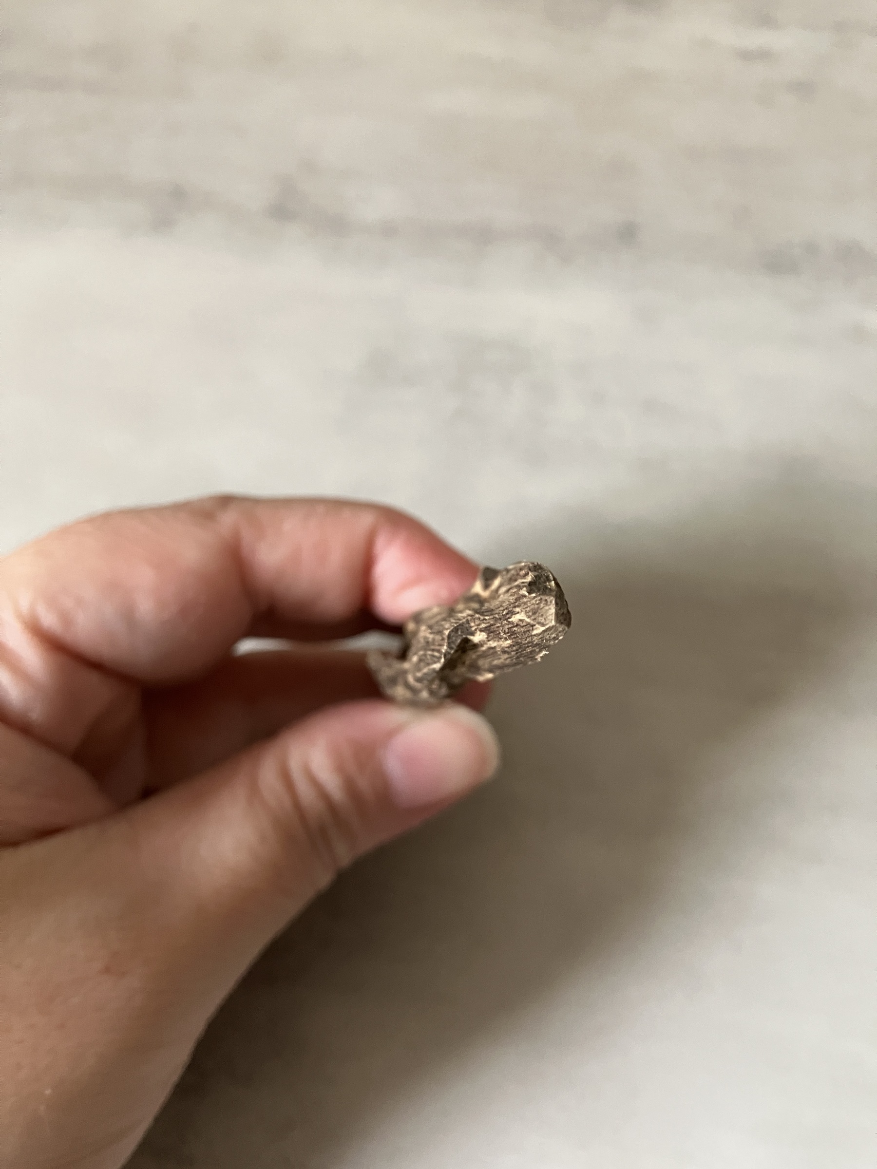 image_5109CA6B-D050-4DA4-BA10-B9B21AE48E26_1760946351