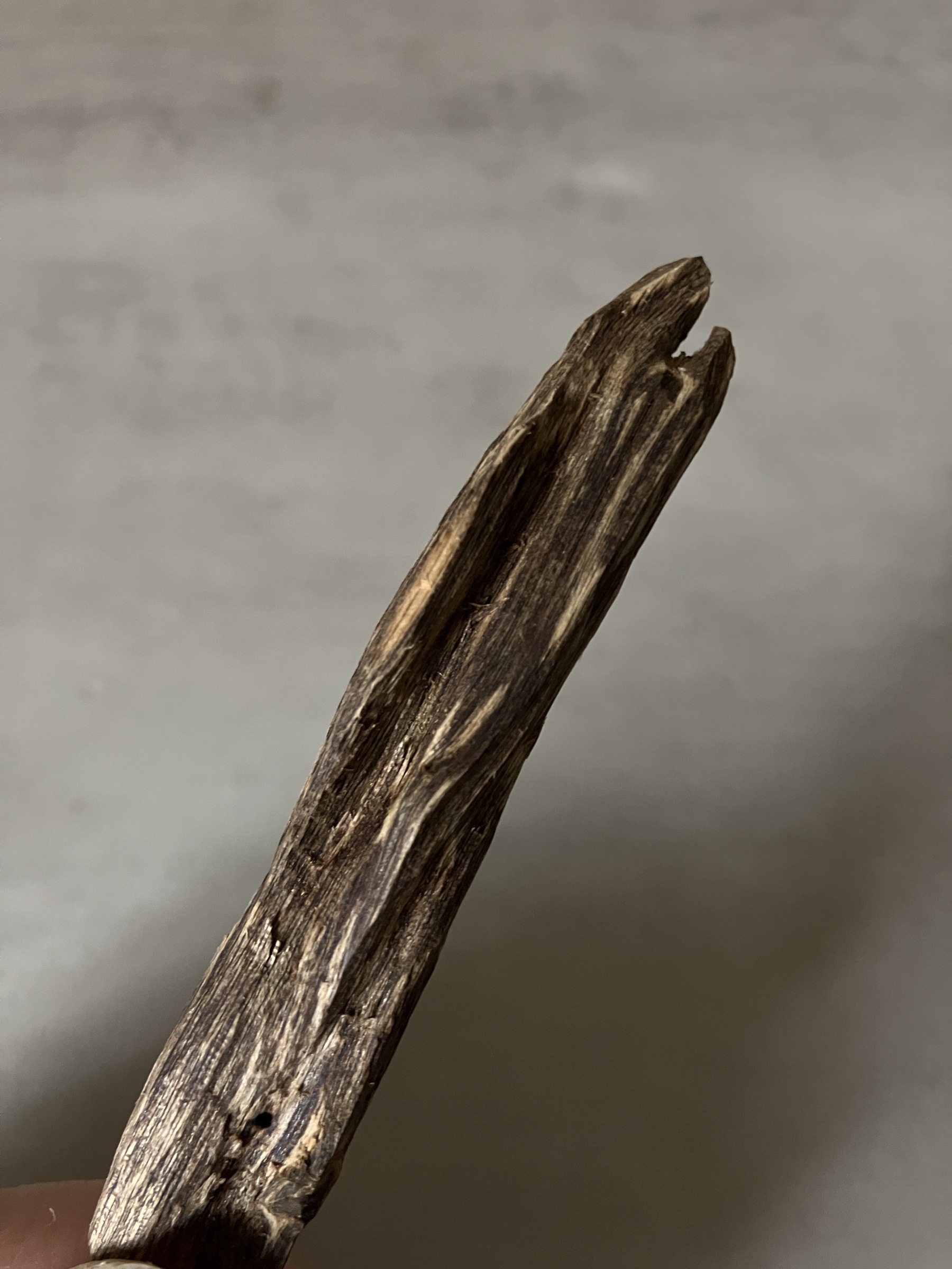 image_E831D0D7-3A52-4584-A8AF-5482986BE7A4_1760946351