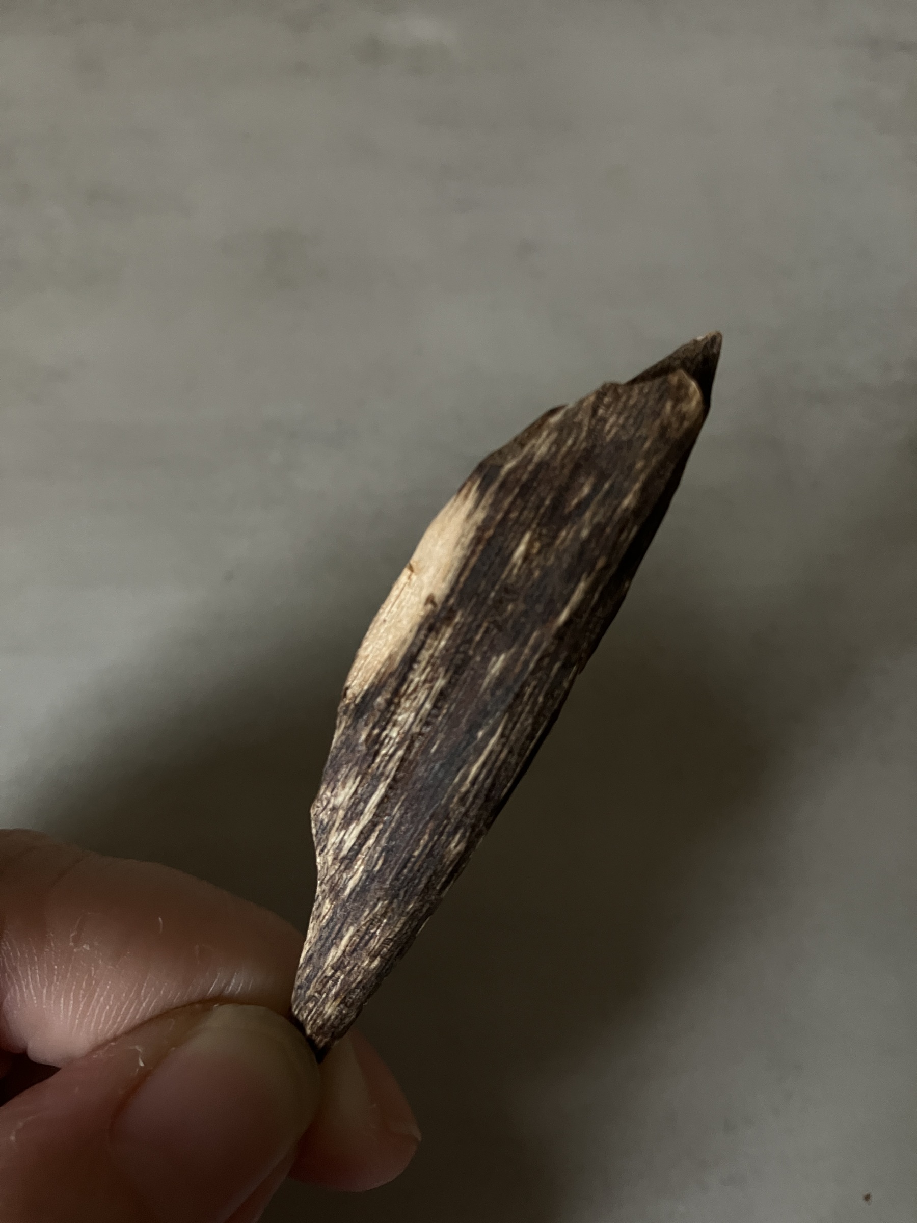 image_FD25EE3C-A9F3-41D1-A23B-8CBE37EE832C_1760946429