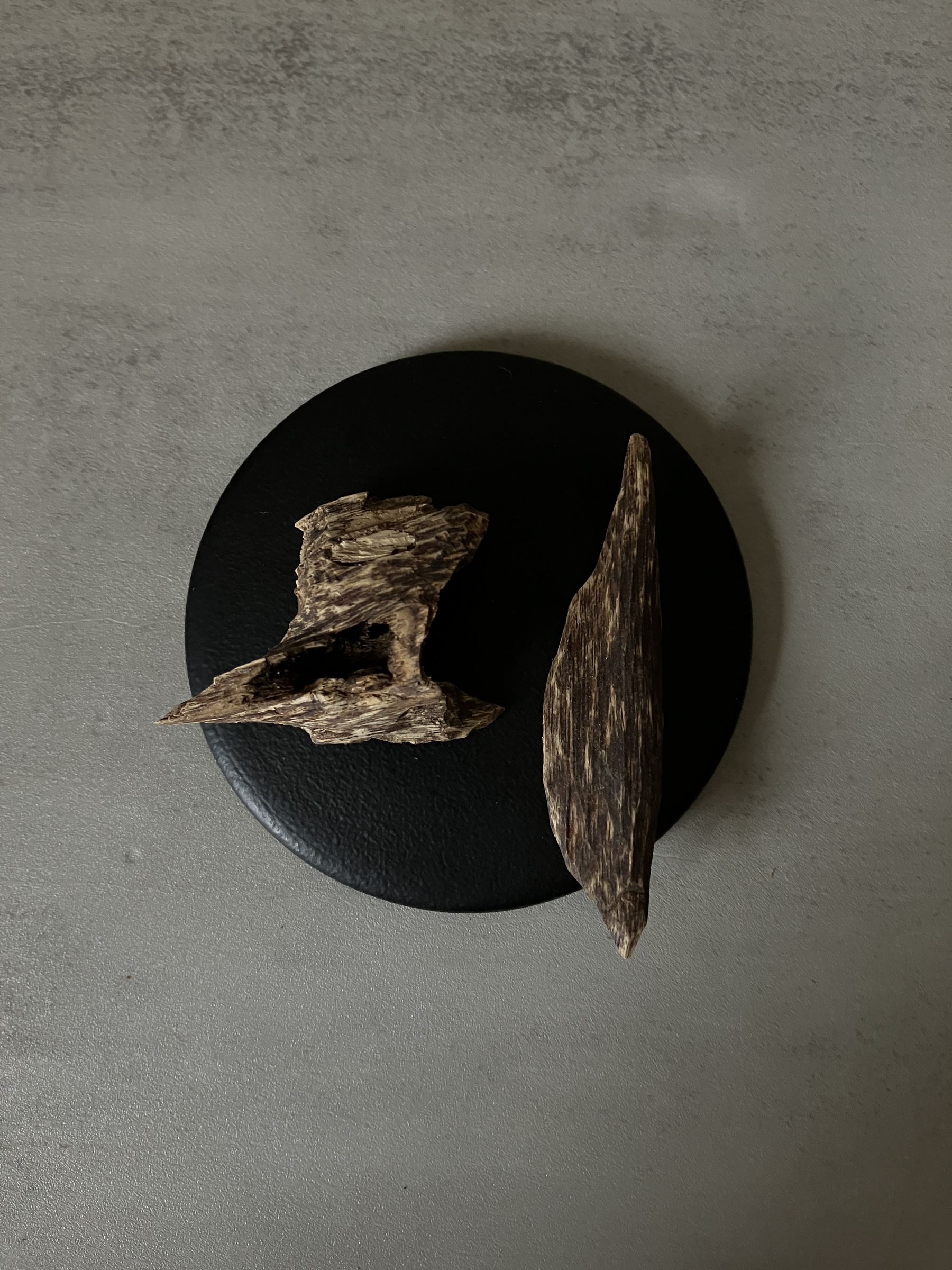 image_B2883EFE-268C-4B1B-BC23-CD1AABCED255_1760946429