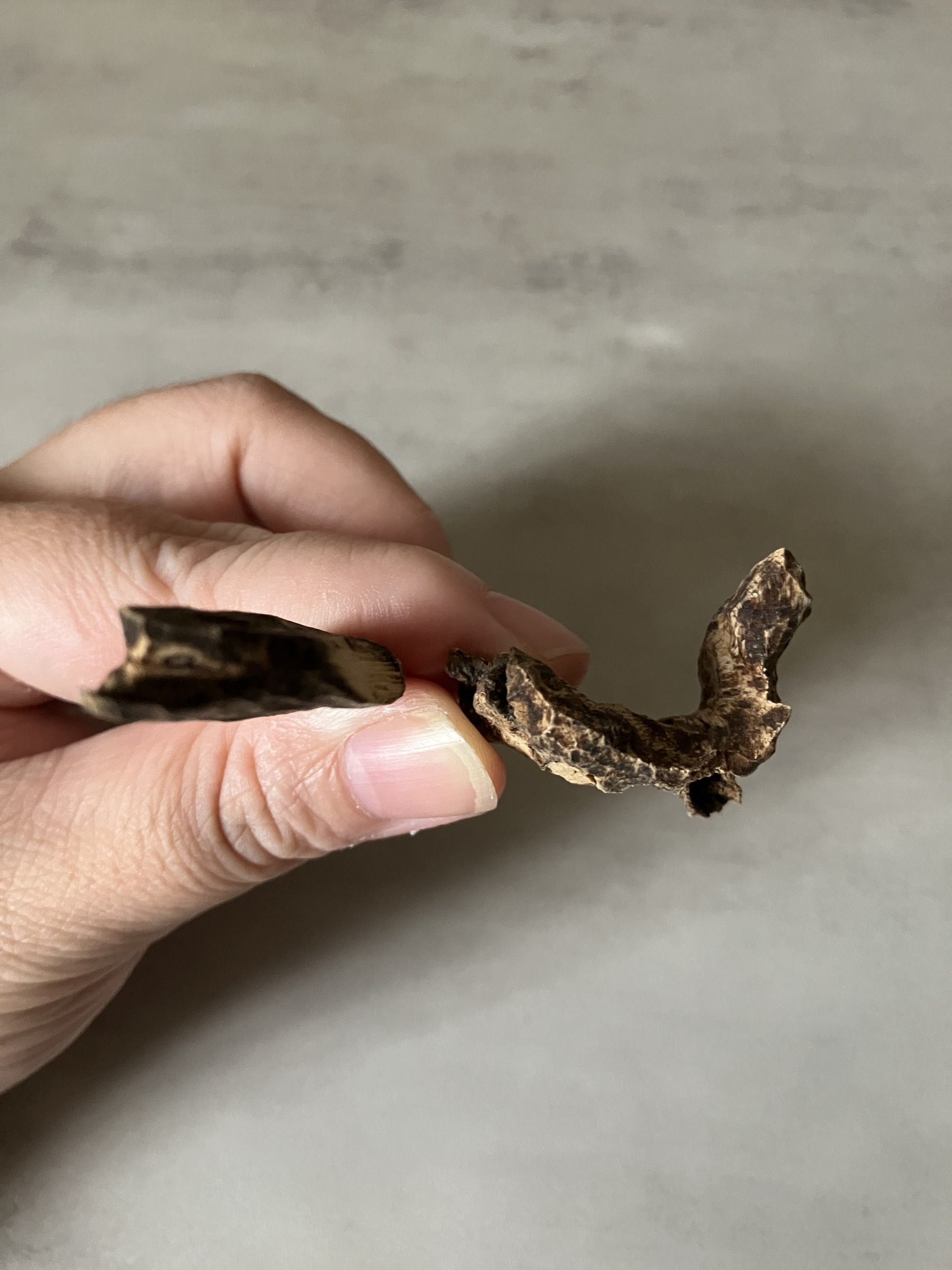 image_3D61231A-1EEE-406F-BEBF-60CB313B42B8_1760946429