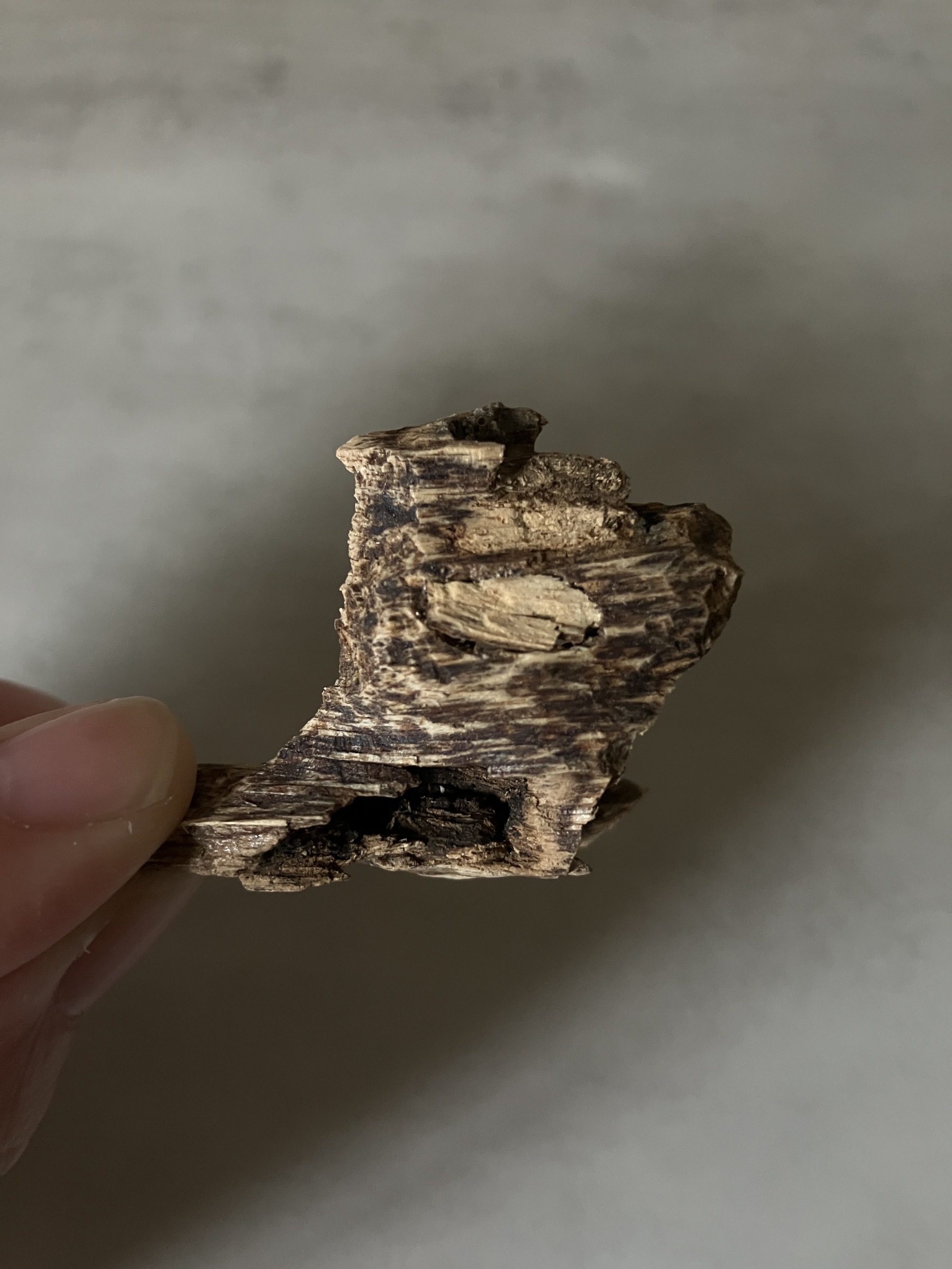 image_08B2049F-24DD-494A-B6EB-1C884D754692_1760946429