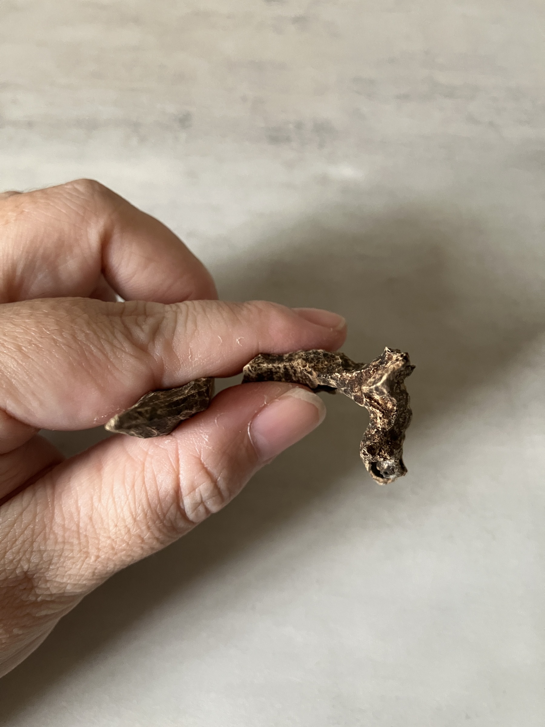 image_5217F7A1-ECAC-4D9B-B04B-4877139F4F09_1760946429