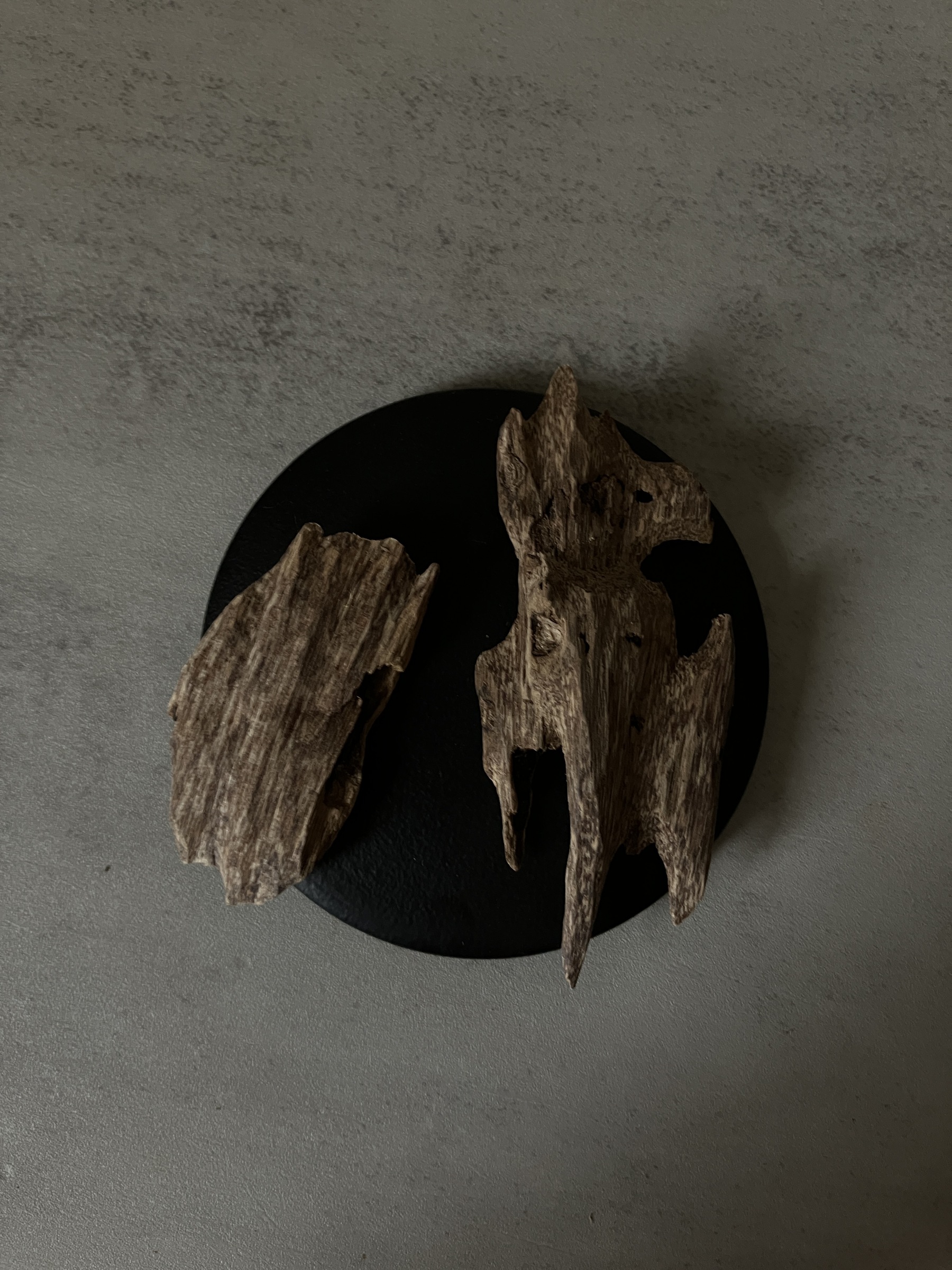 image_40392679-1C51-47D7-B444-FEDA4FE78AF6_1760946528