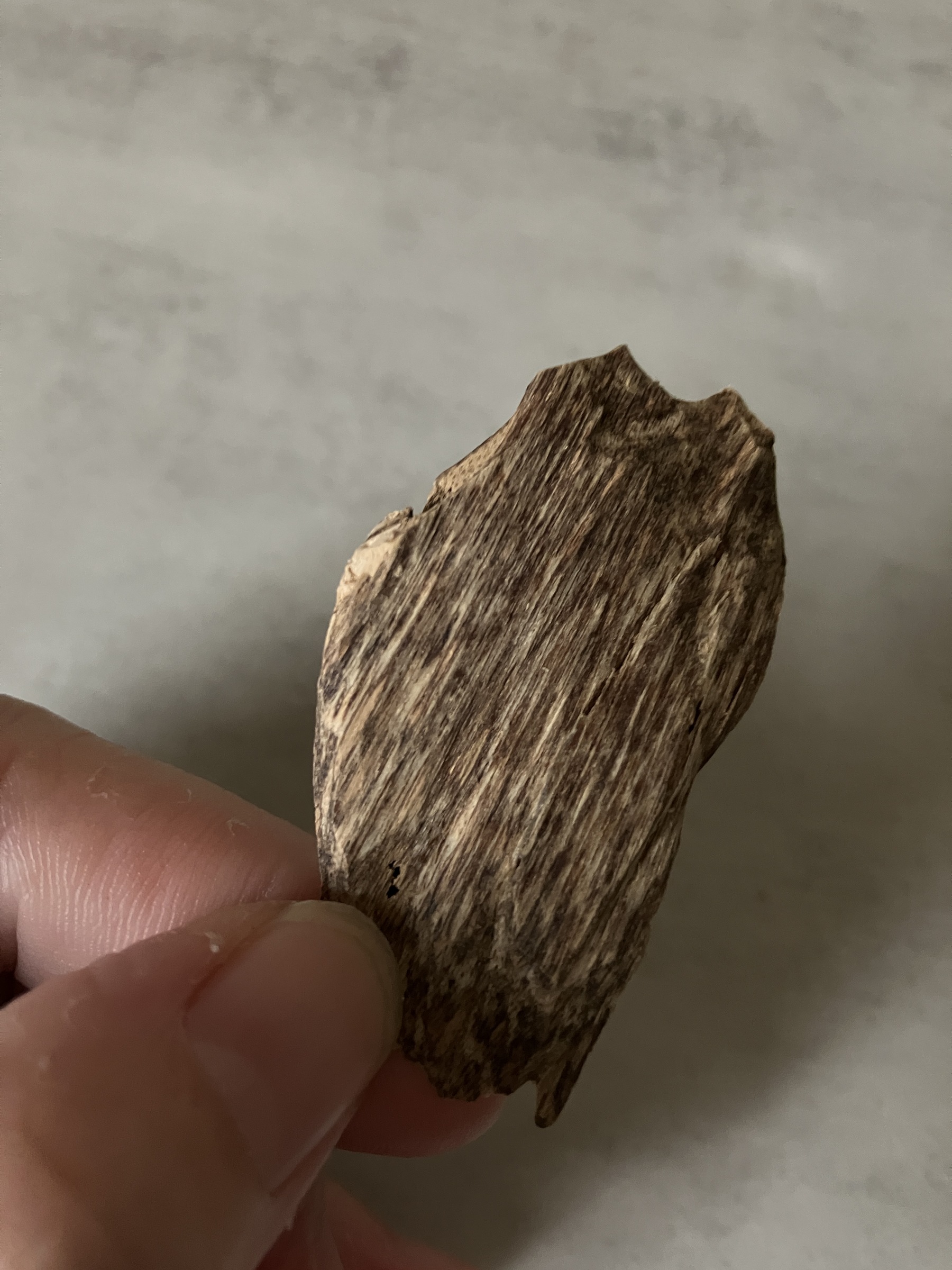 image_4F8340BF-7245-4FF8-99D2-1701454E753E_1760946528