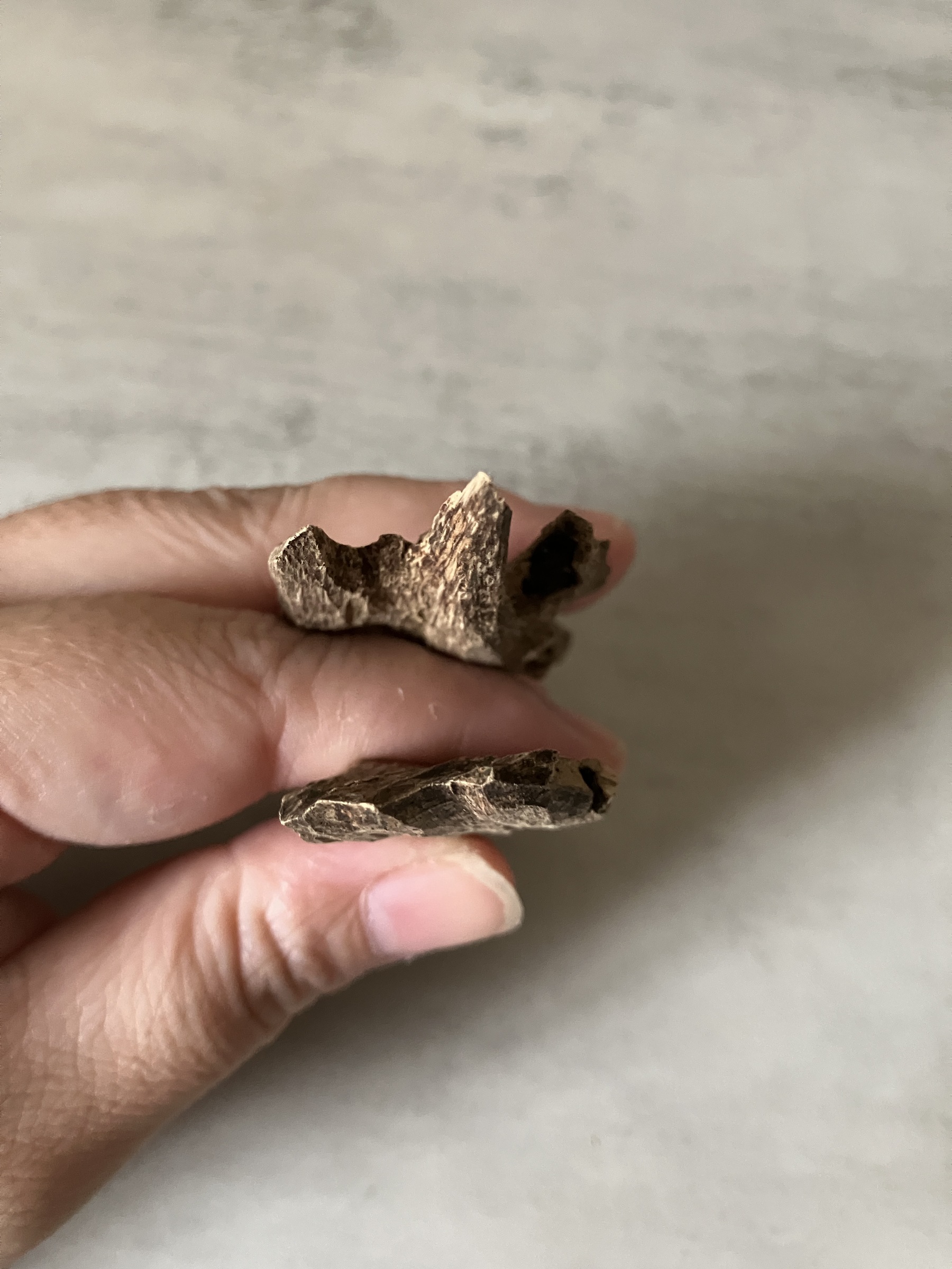 image_0853B457-287D-4FC7-BA6A-E119556F8121_1760946528