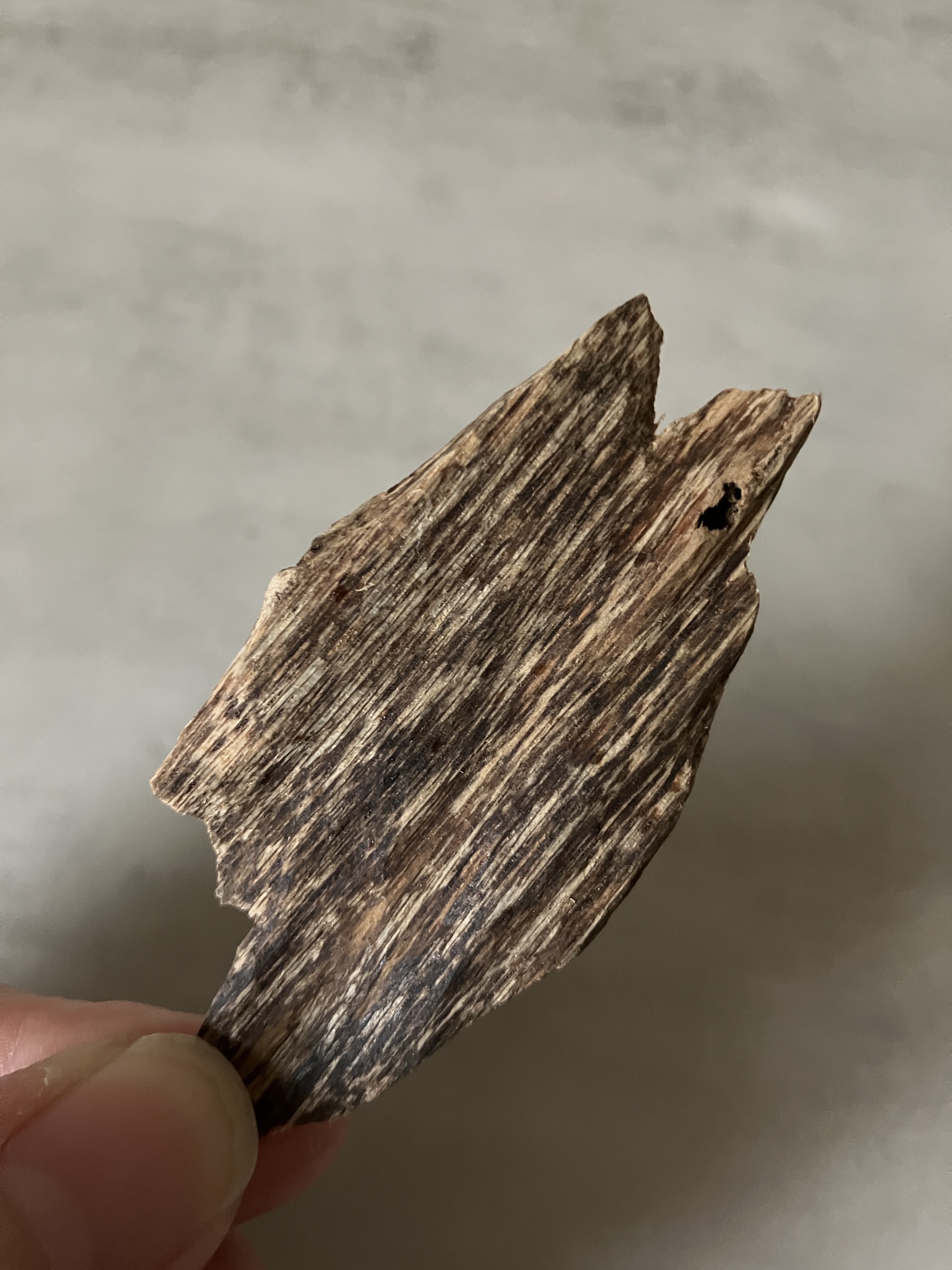 image_989396DE-616A-472B-8AFF-075092428F4C_1760946619