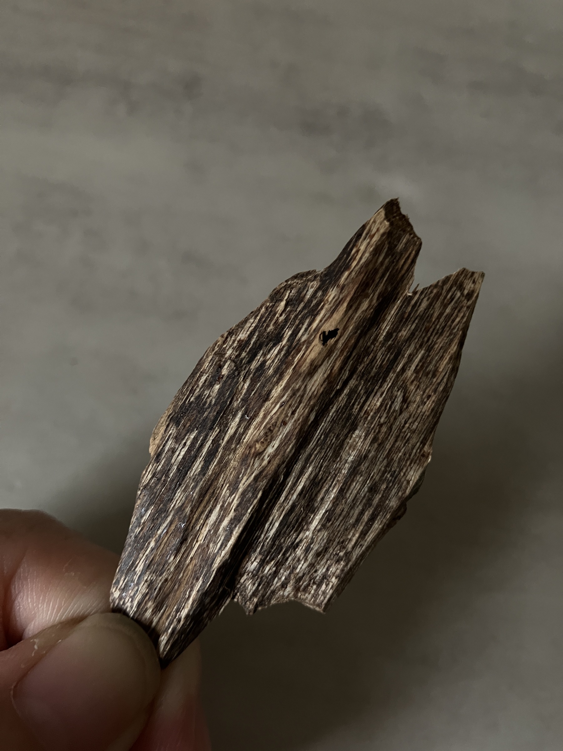 image_FBCD73B4-1CCB-4B2E-8149-5412FDC87C3B_1760946619