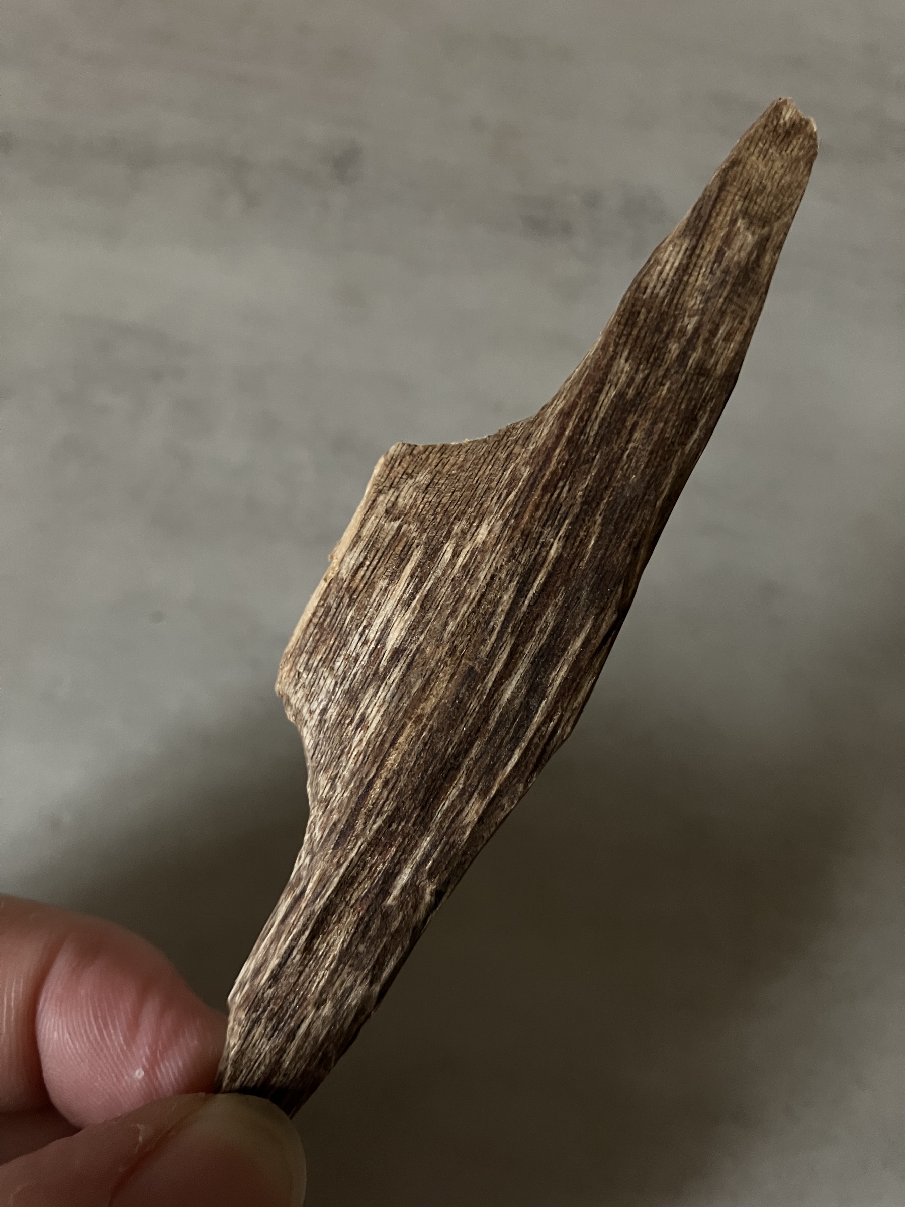 image_A59320A6-D884-4522-A62A-1FE4AE728FFD_1760946619