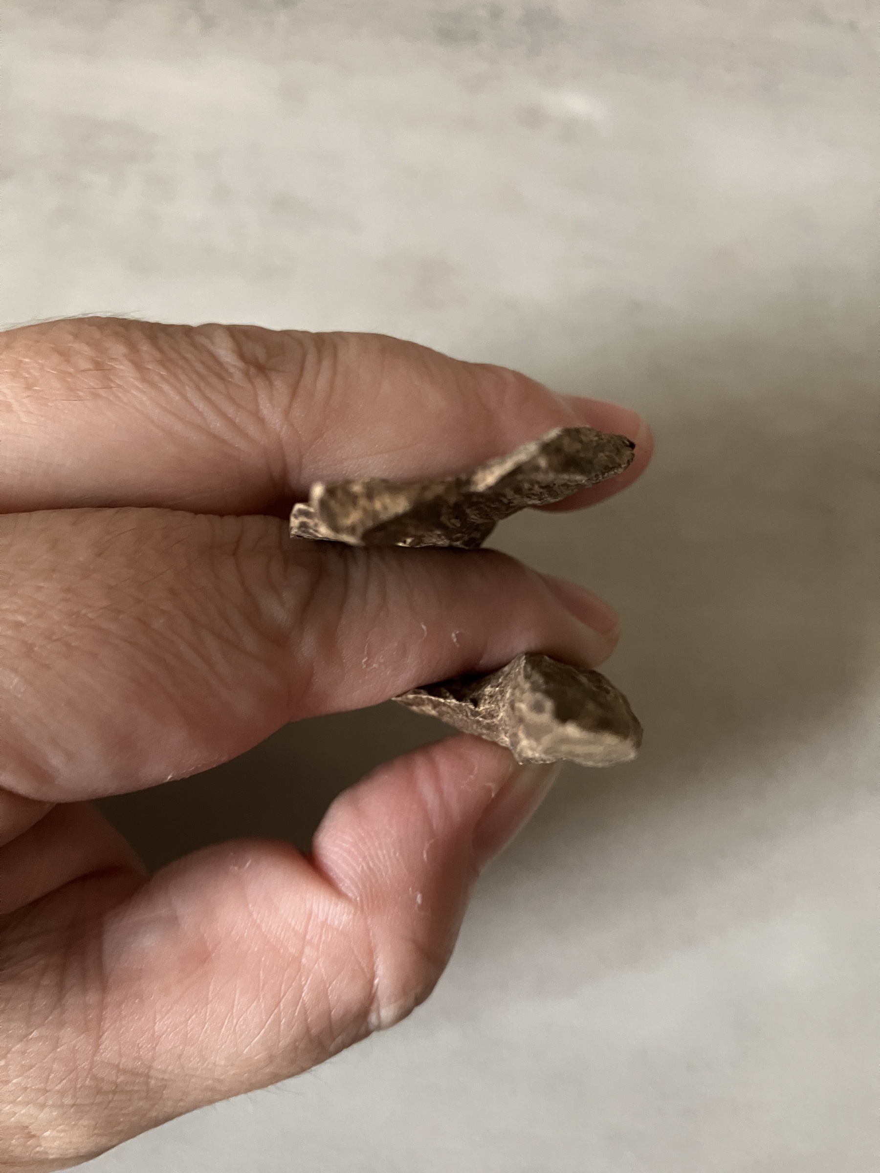 image_2B0E1F1C-9657-44BF-BA7A-05FD06939313_1760946620