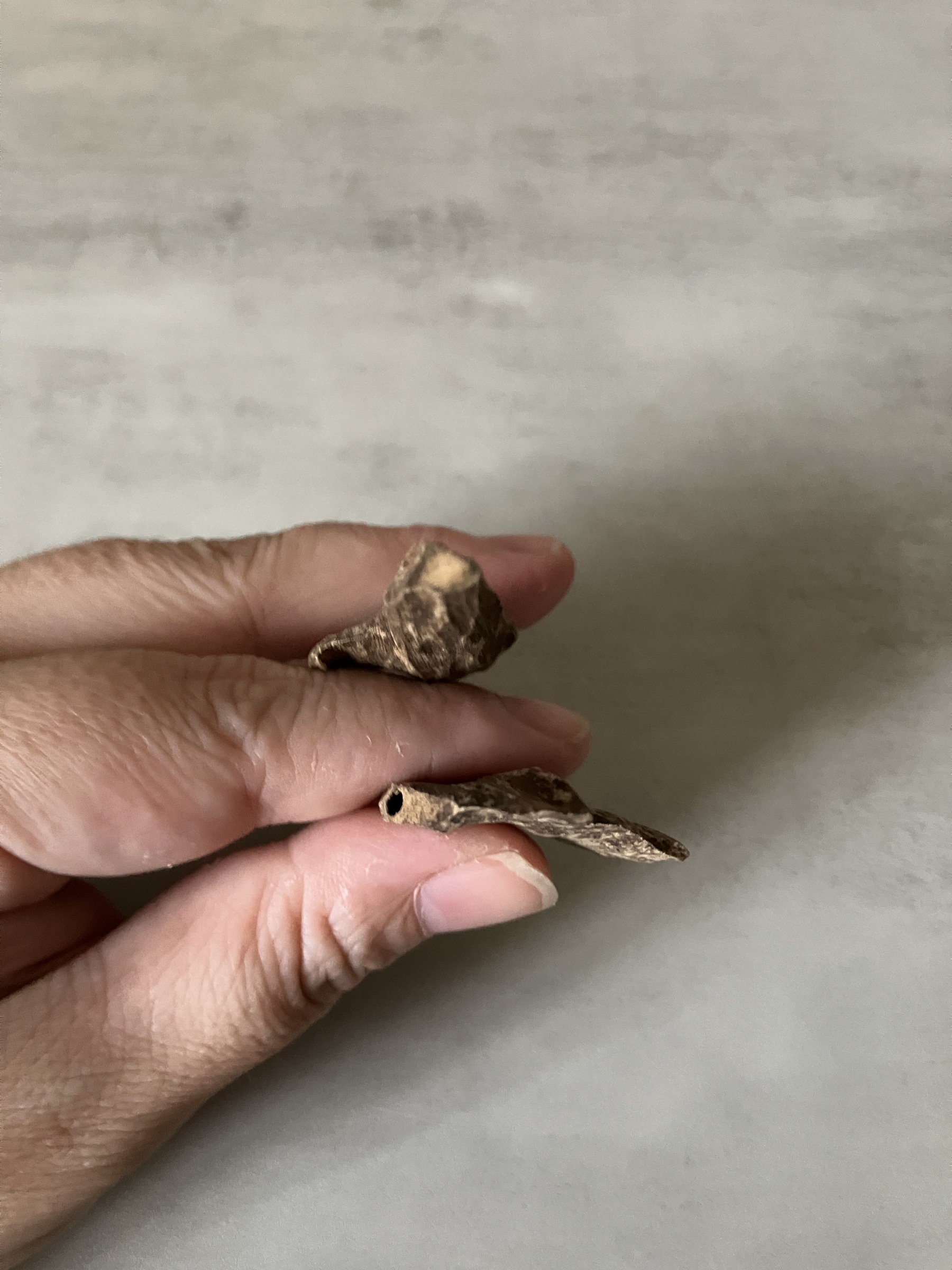 image_589224ED-0809-4E12-8C21-8DFA11380309_1760946620