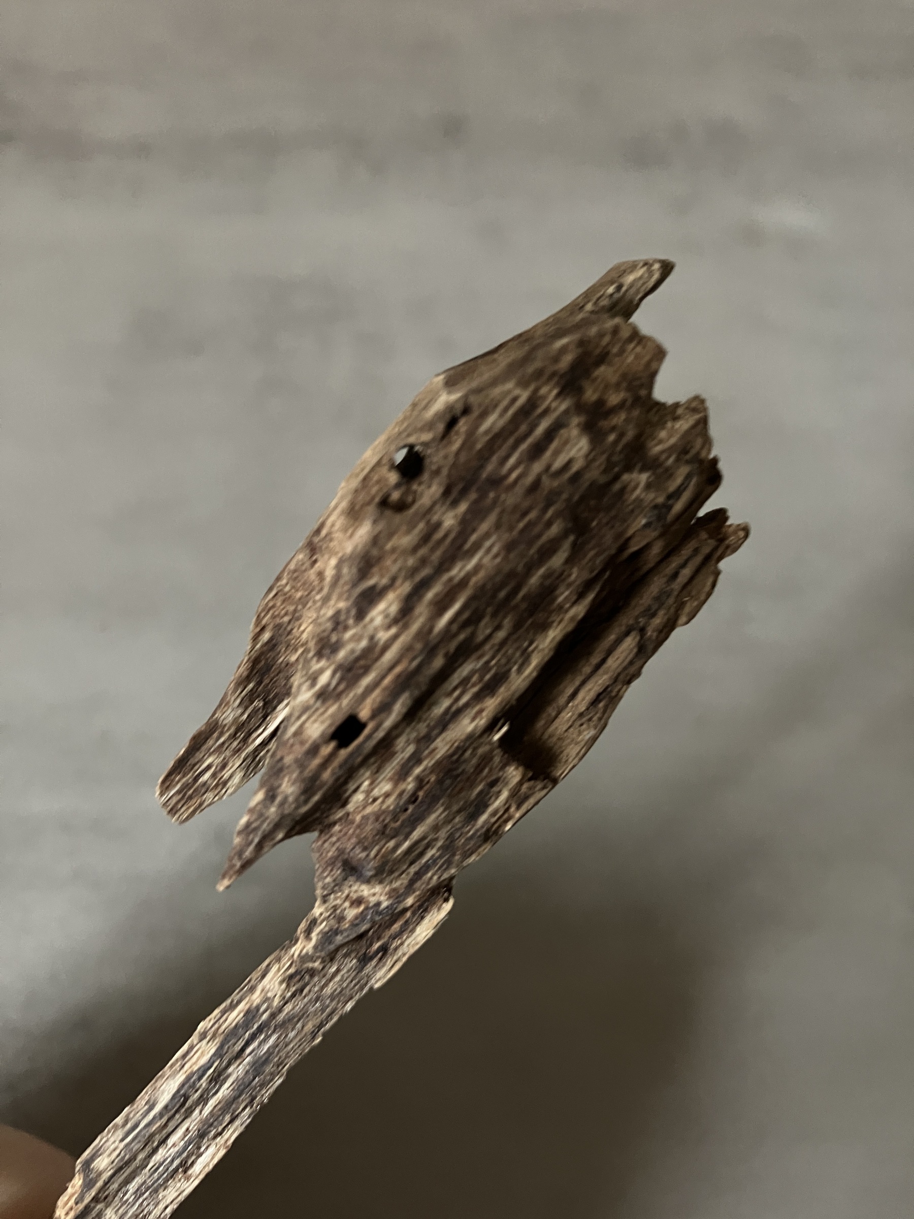 image_CBFD9B33-B1E9-4C51-930A-223867747339_1760948168