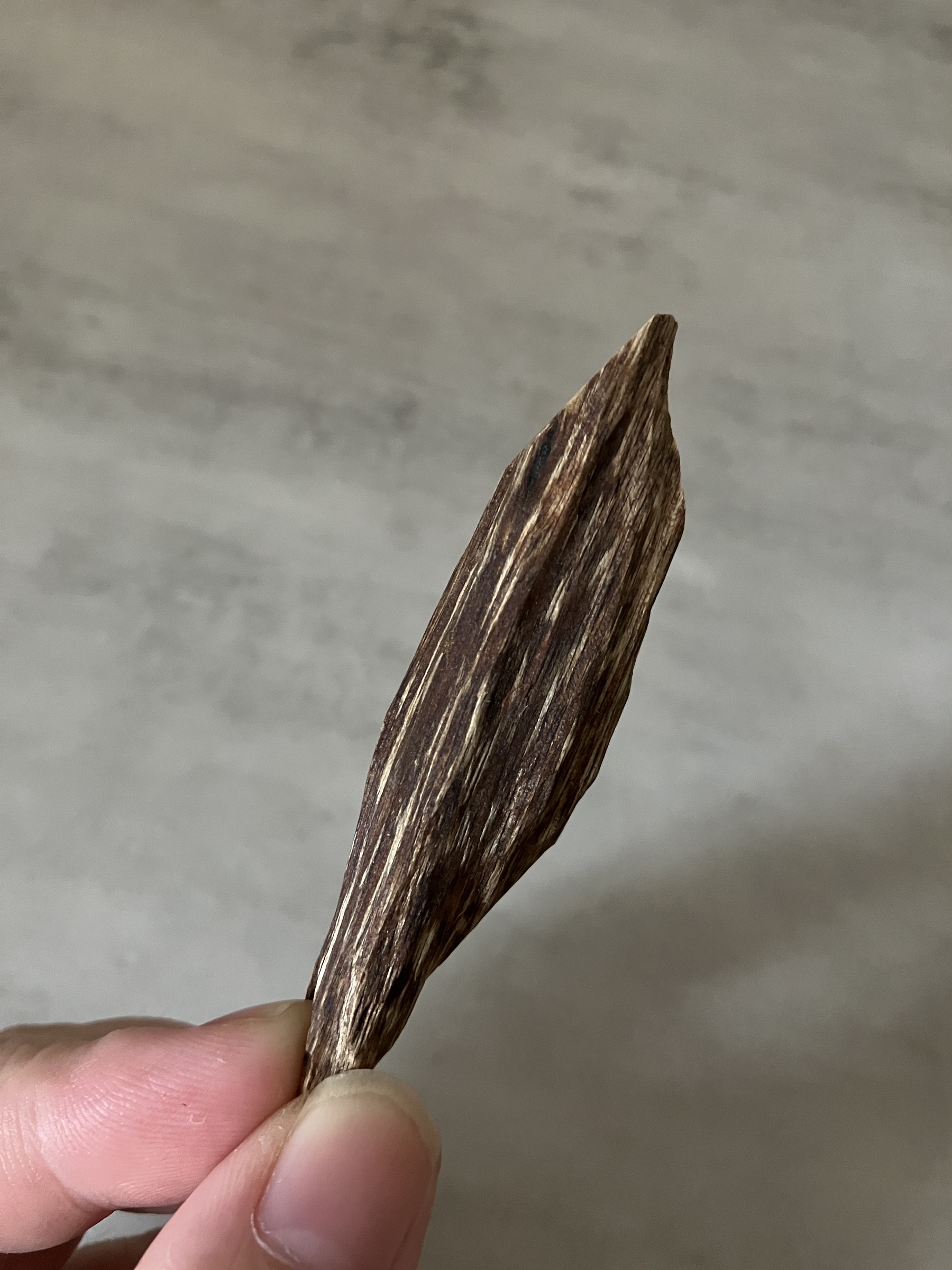 image_9DCC9E9F-D574-4AC6-ADC2-B82E9B05BB08_1761030595