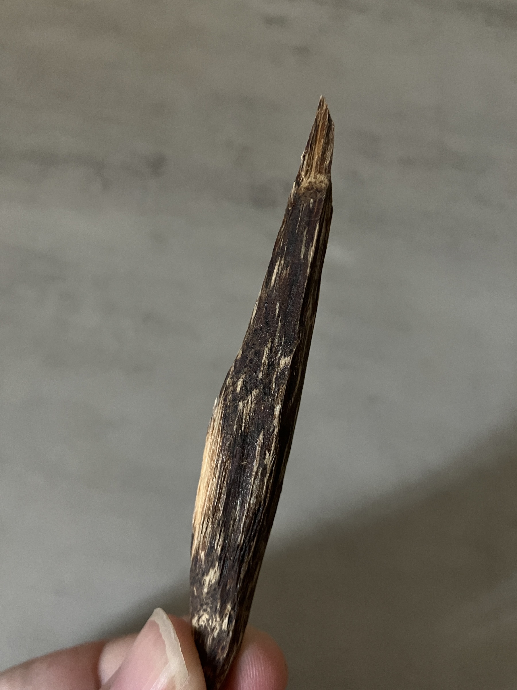 image_7B878E84-CA4D-4900-BB75-F0635EC91CA8_1761030595