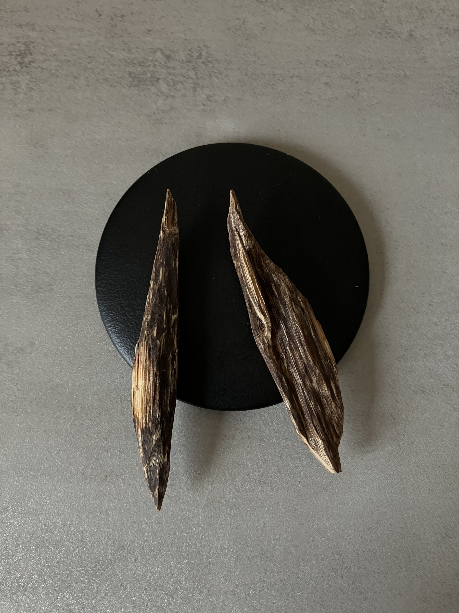 image_A83D64B9-DF74-4A66-8267-51E84070B658_1761030595