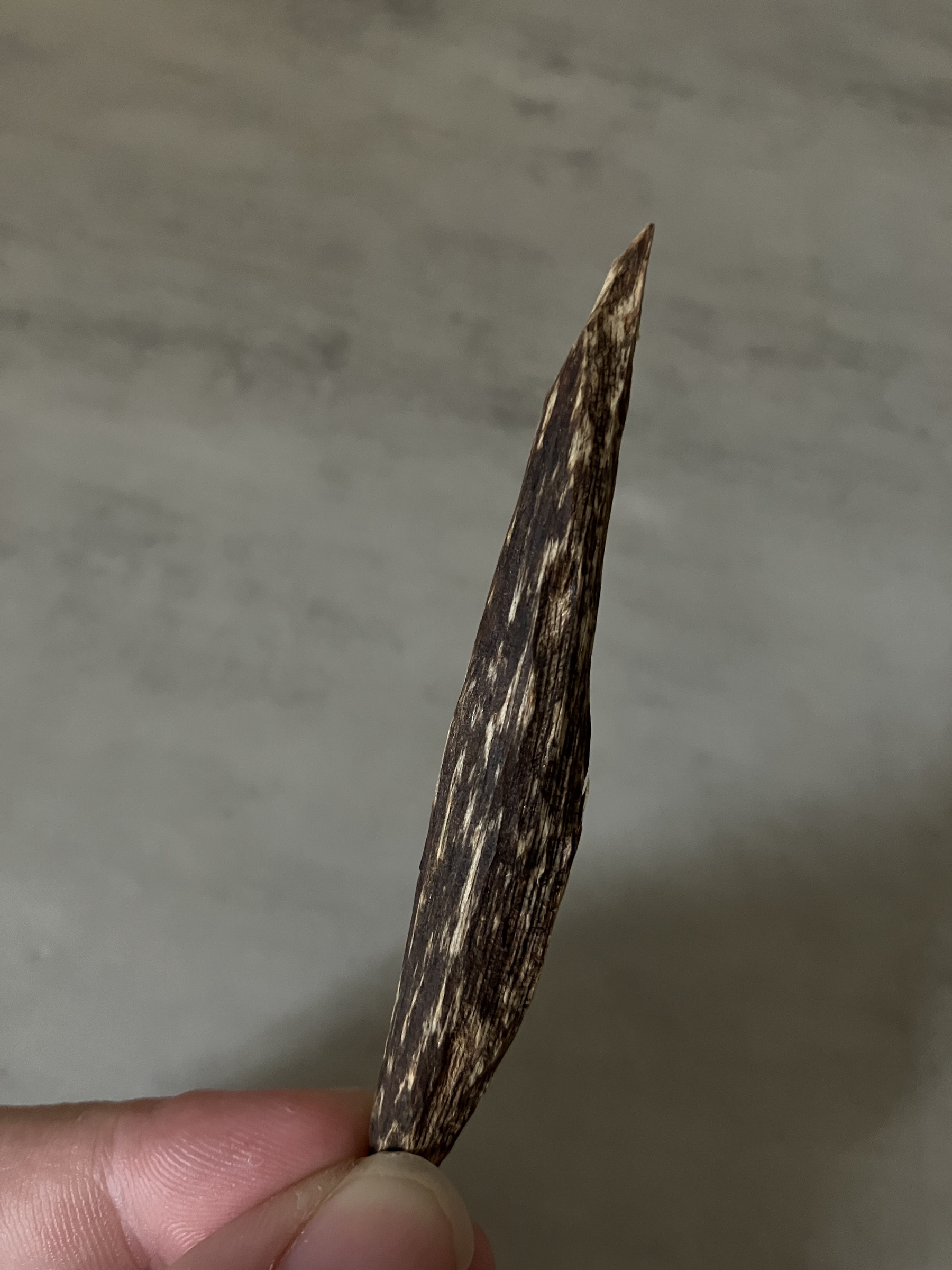 image_4C8C7B58-9297-49E2-A6A6-3C828F583CBB_1761030595