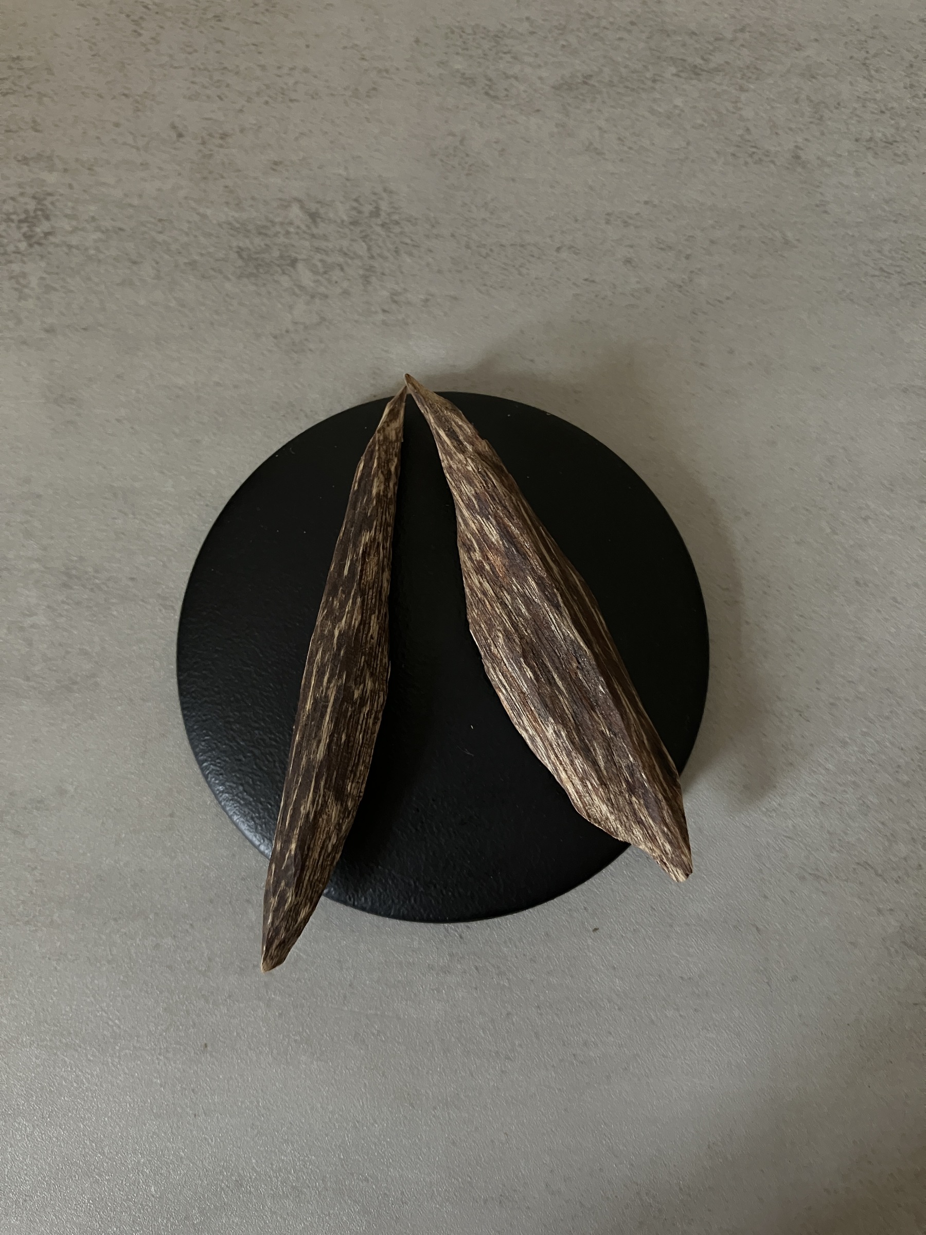 image_B9837A9C-5447-41F3-A734-BA9D7B3BDC86_1761030595