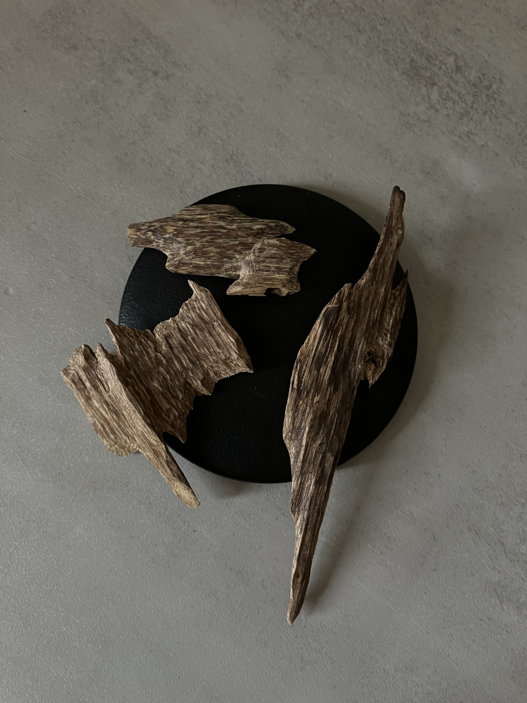 image_16C83122-A961-41E2-ABE7-963A60C3B64C_1761030713