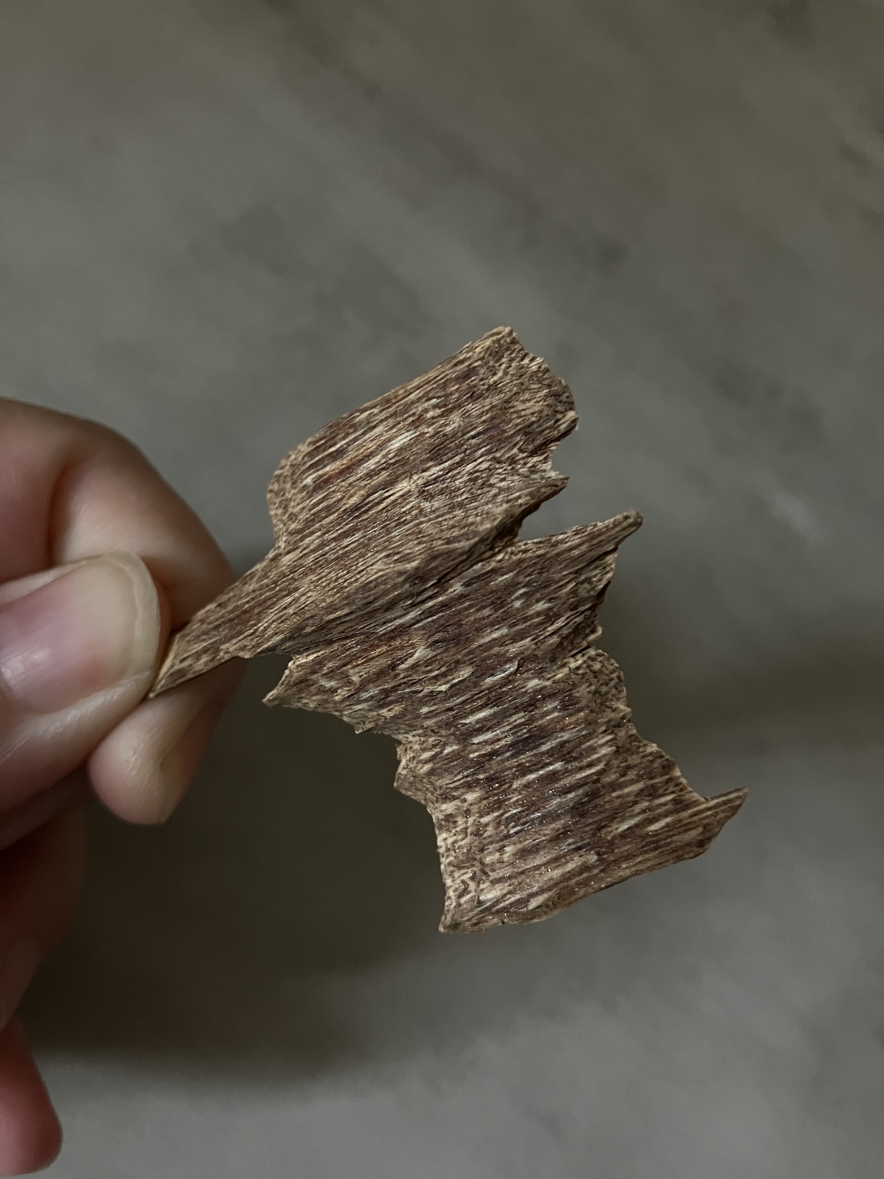 image_6B2BF1BC-BF88-4F03-A840-81D69D8F46DC_1761030713