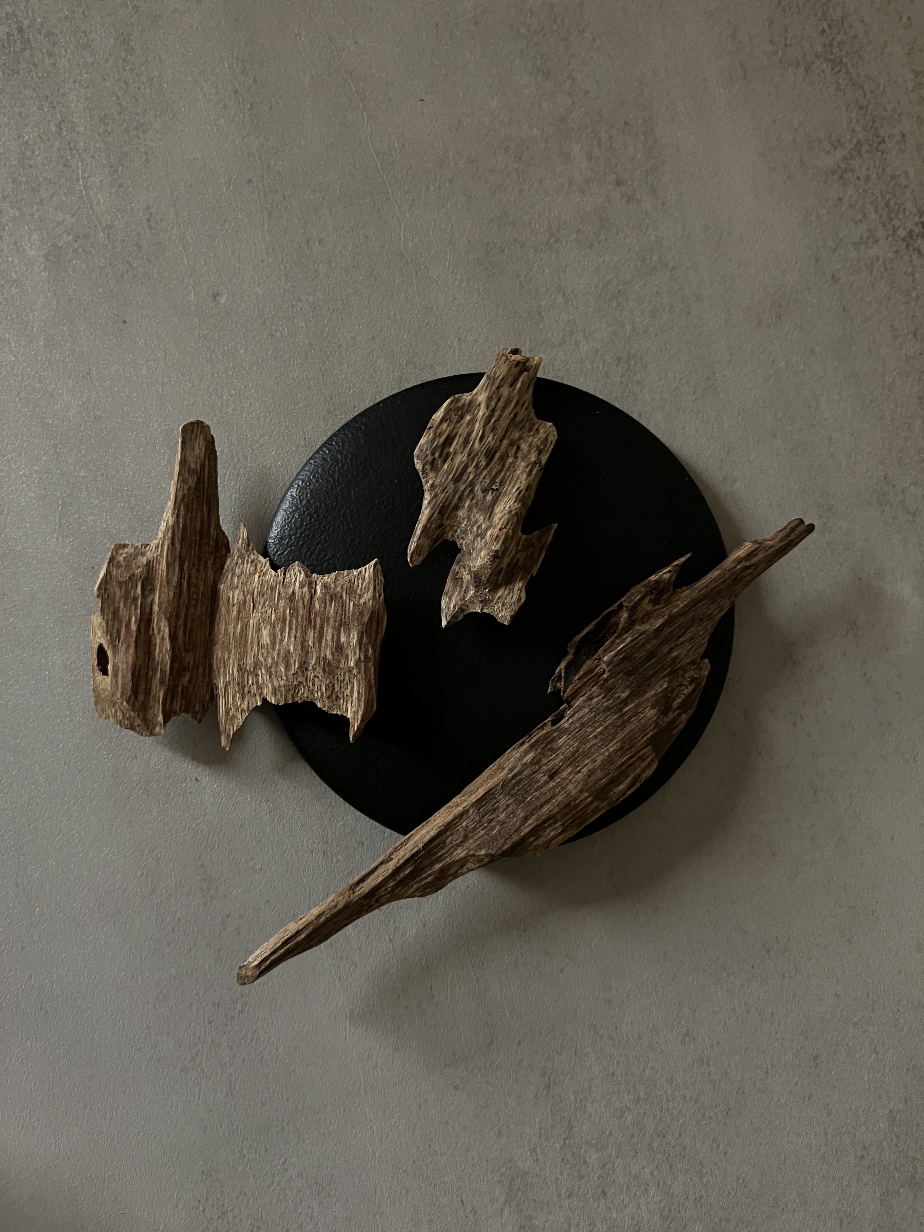 image_EFBF2C73-5F3E-4BD5-BA2A-600E27218B27_1761030713